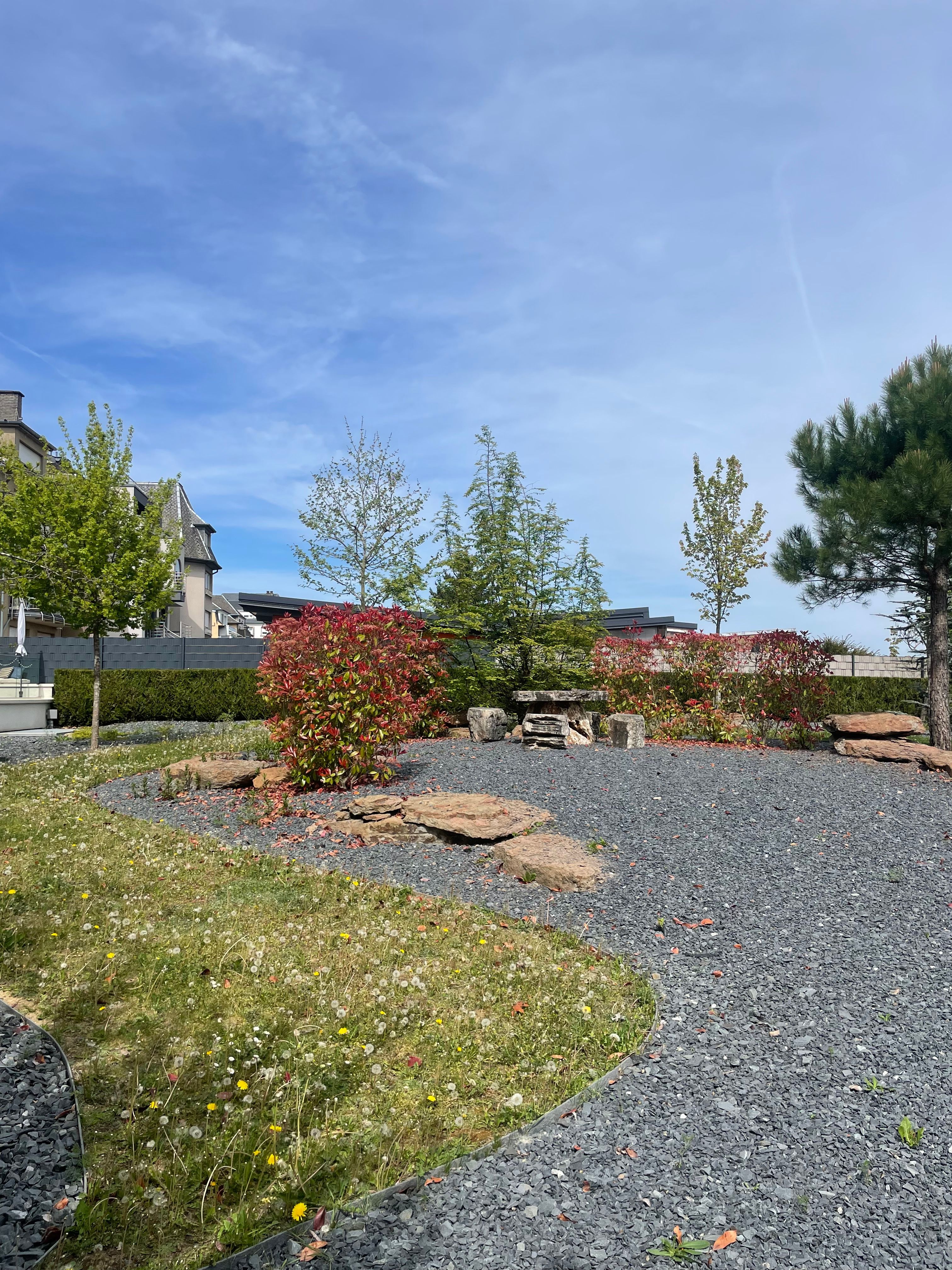image-19