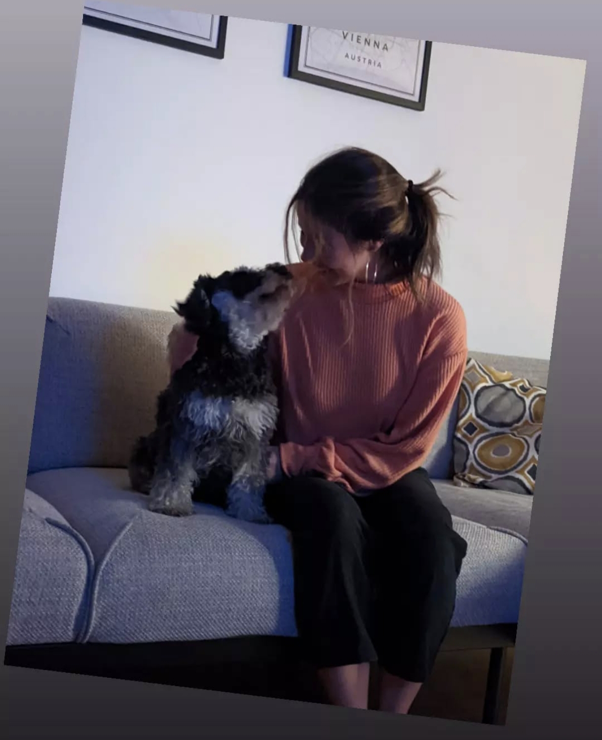 image-6