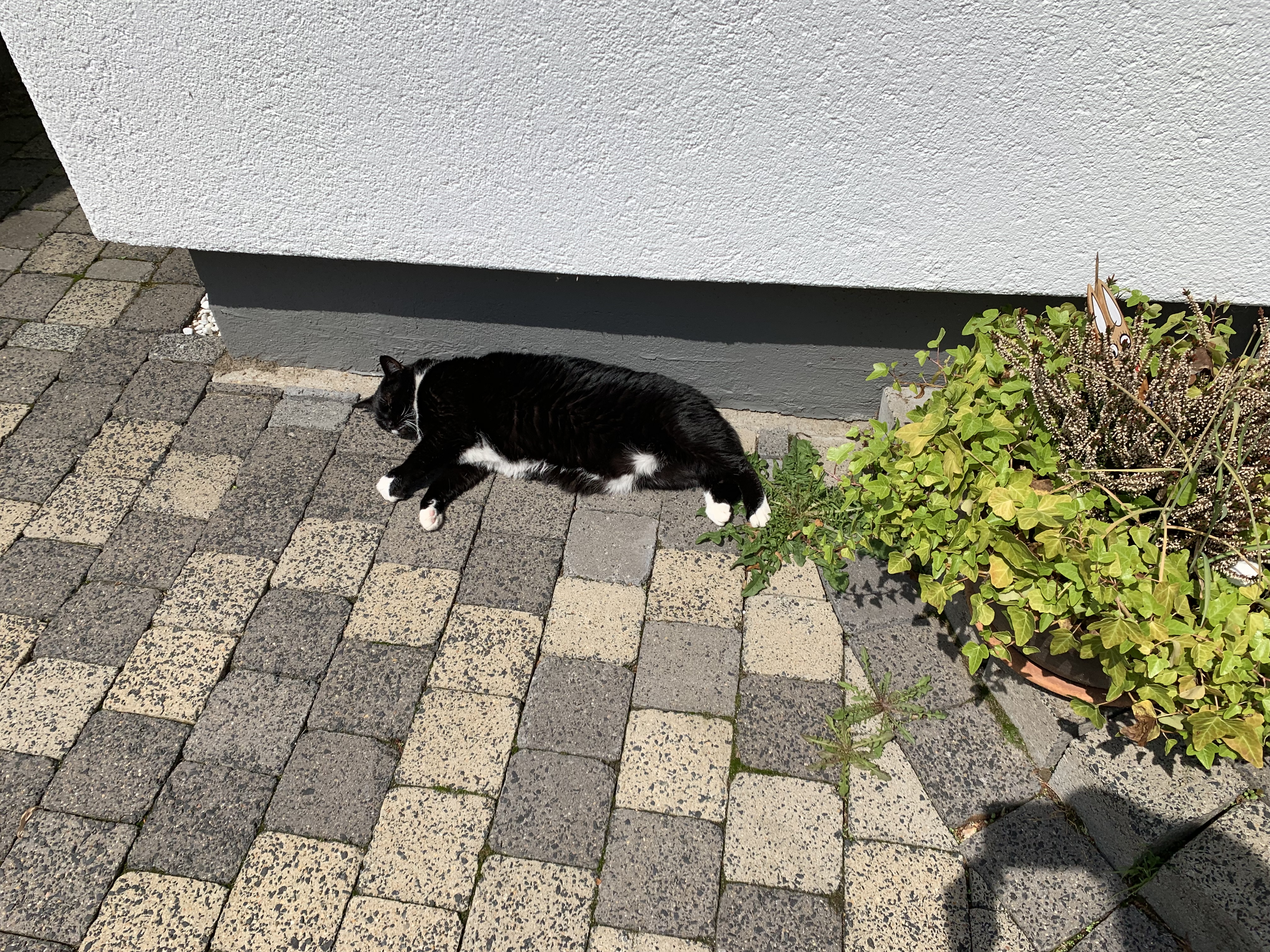 image-6