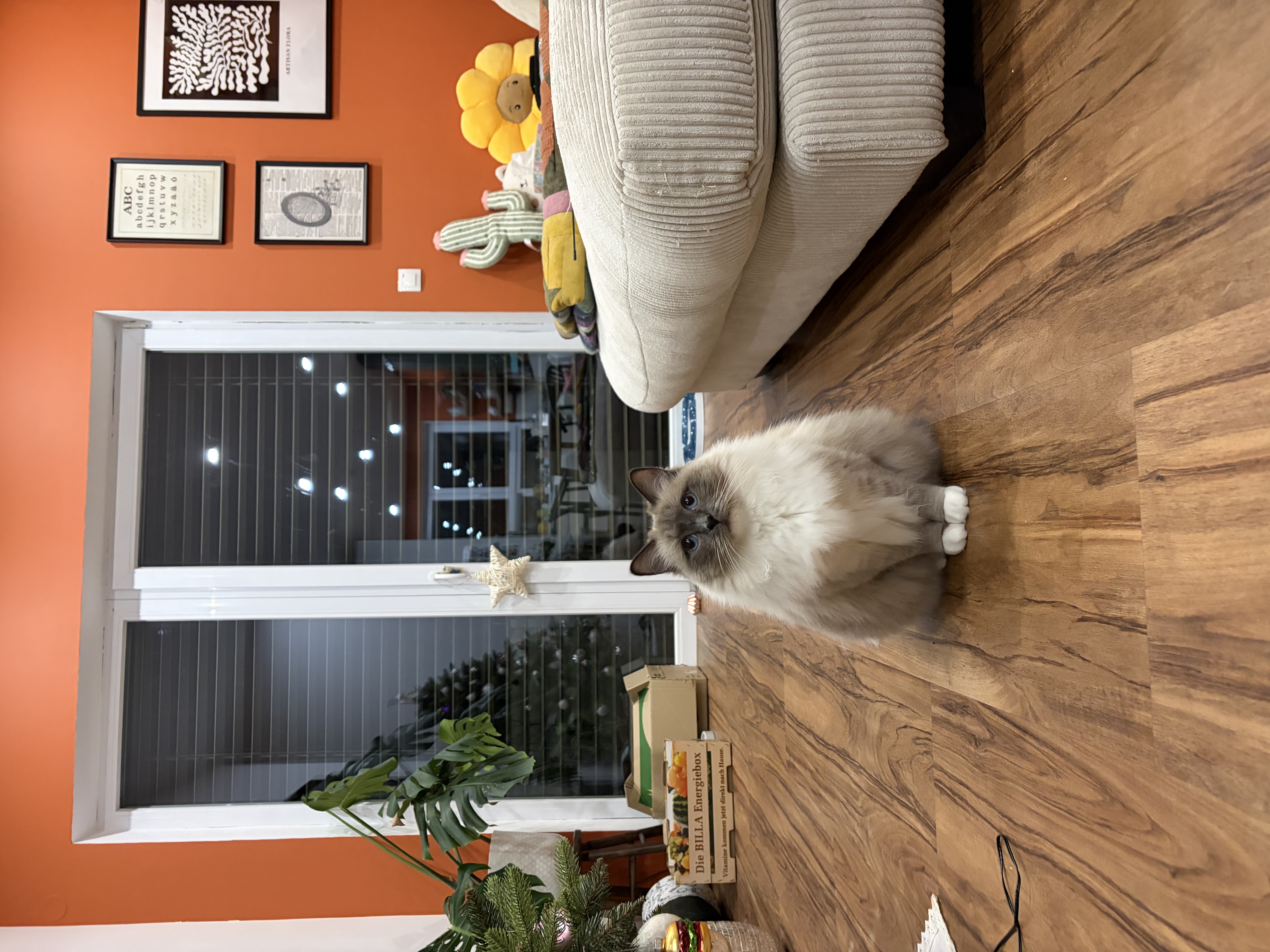 image-13