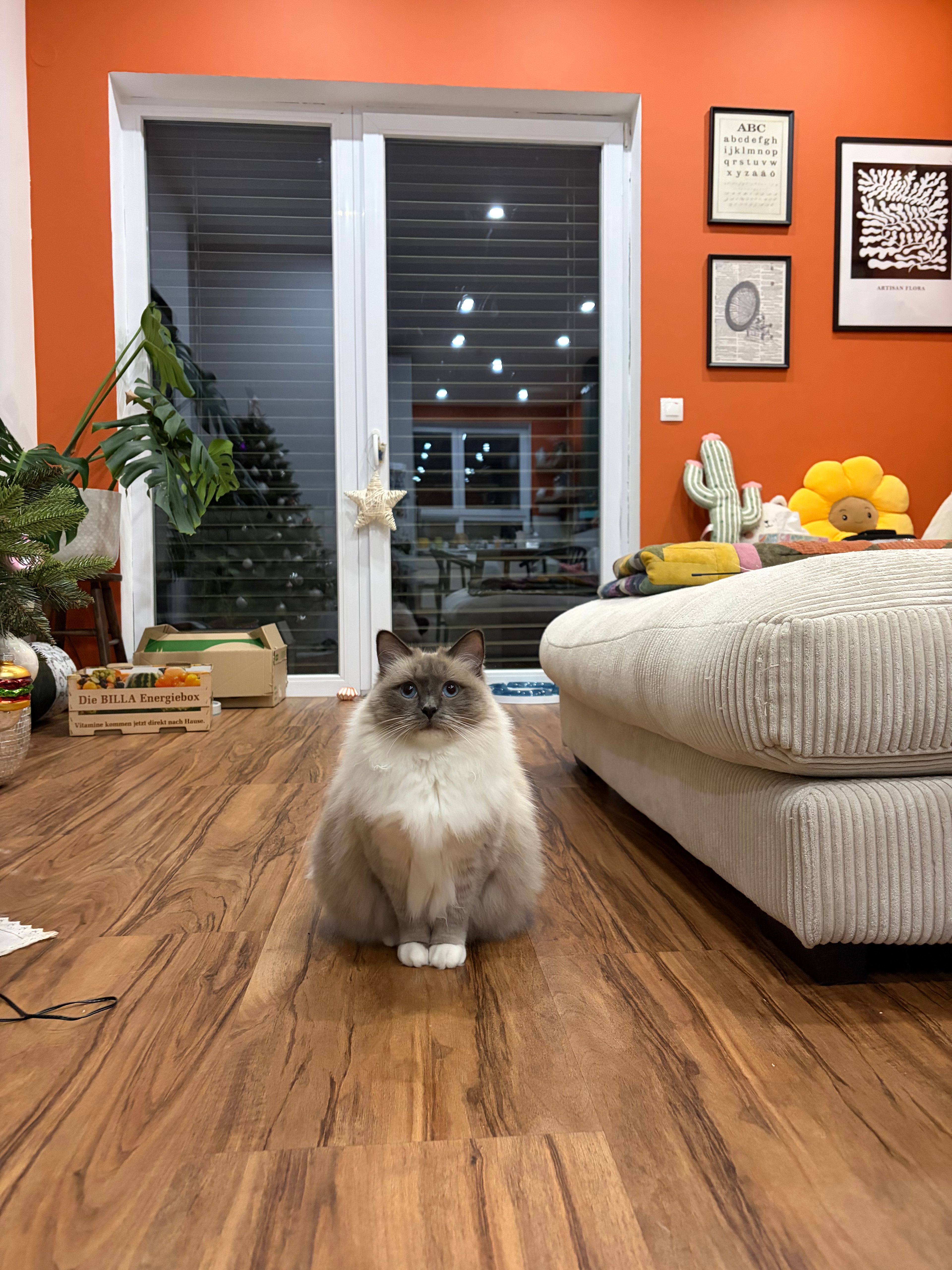 image-13
