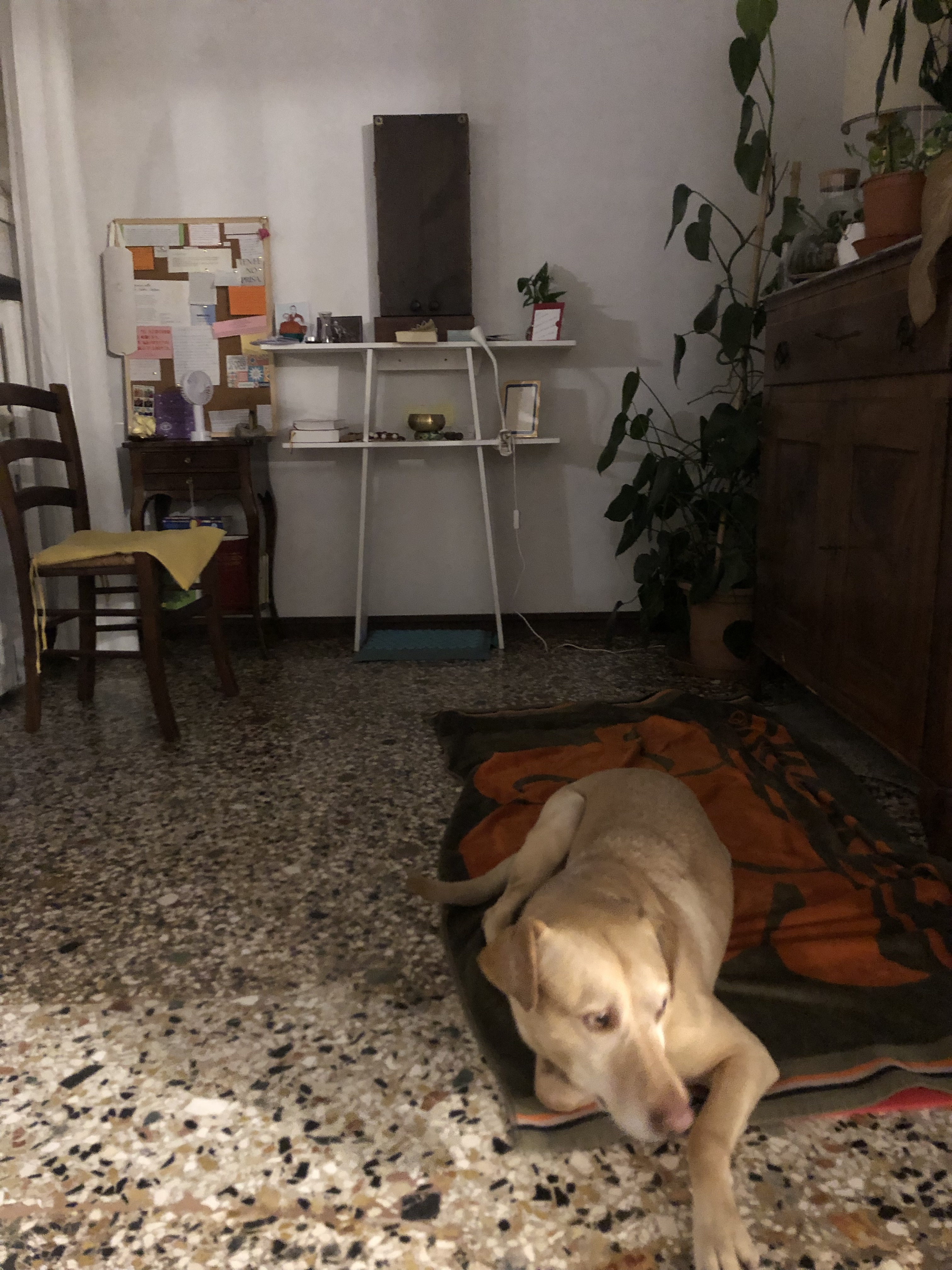 image-20