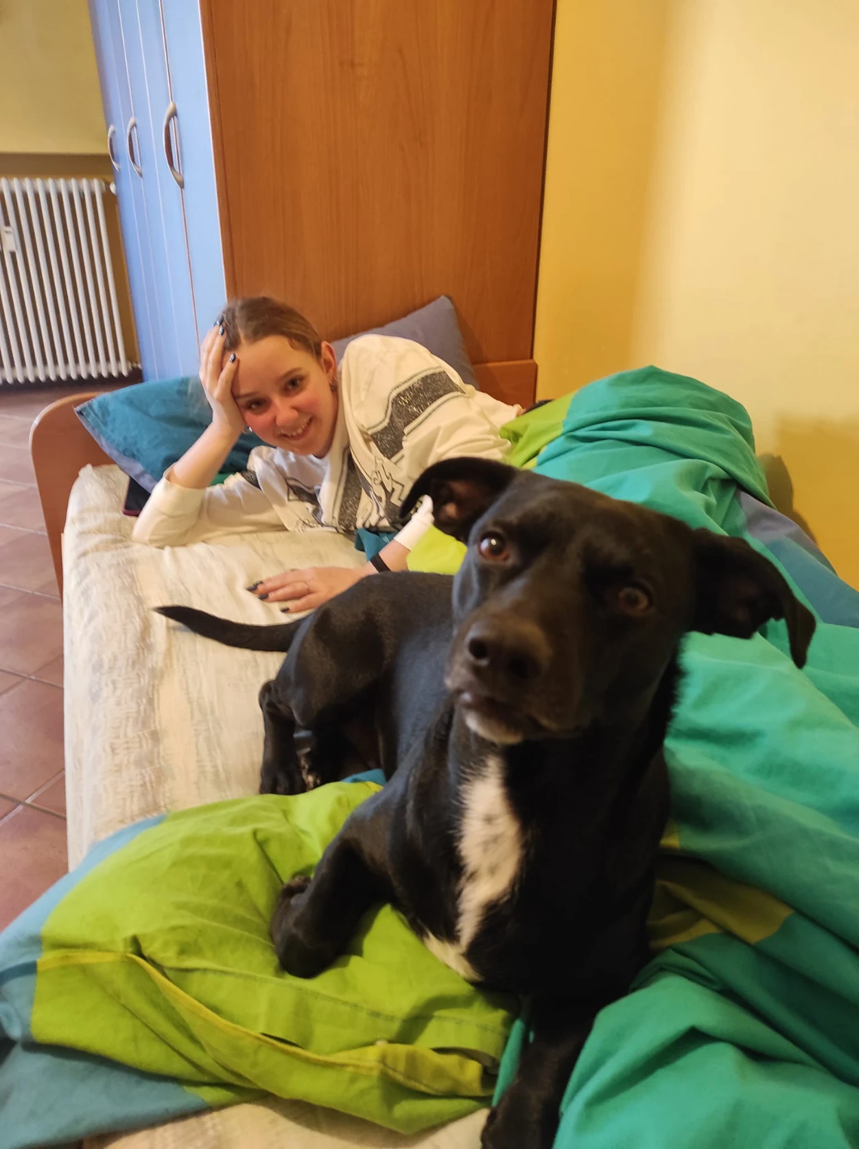 image-12