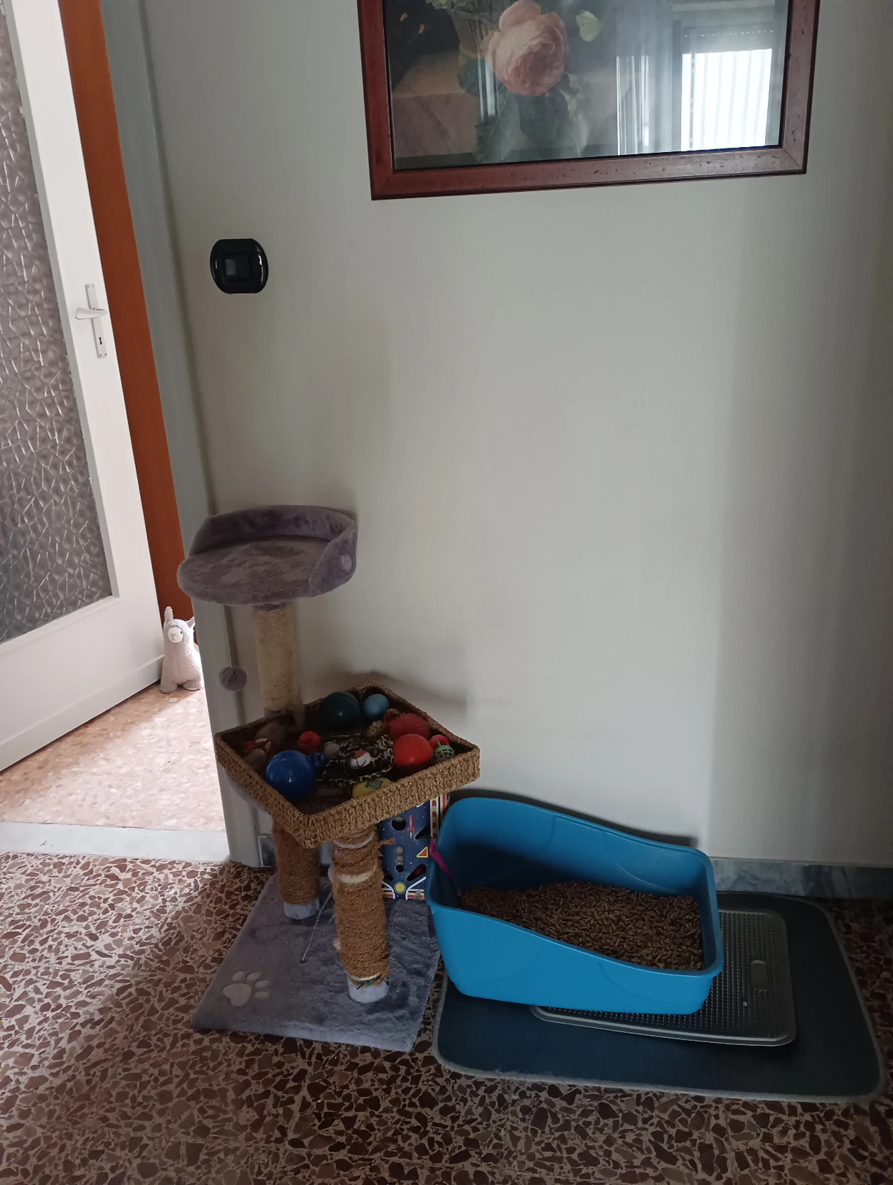 image-14