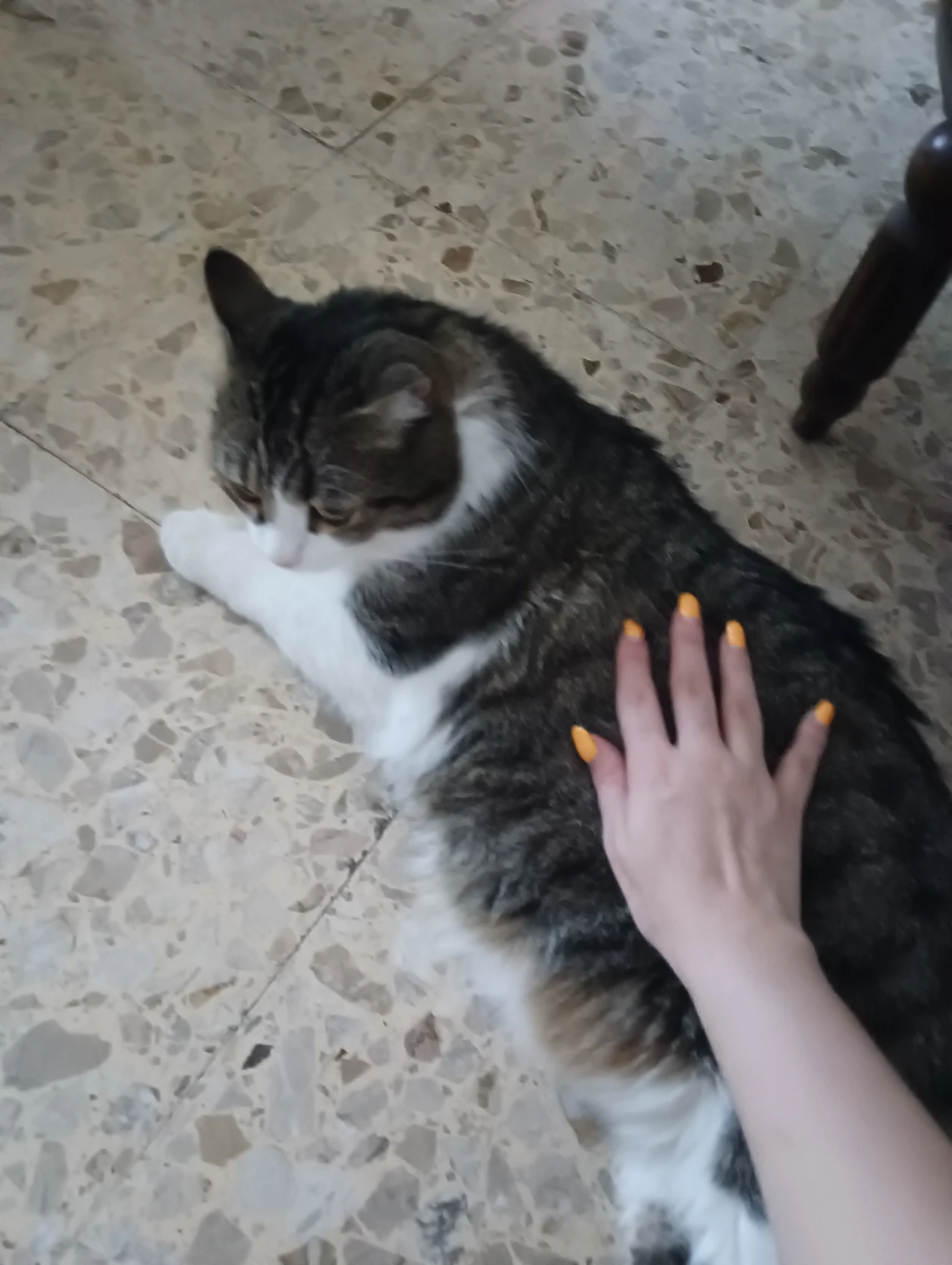 image-9