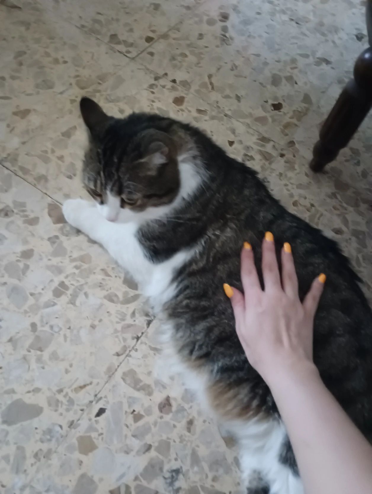 image-9
