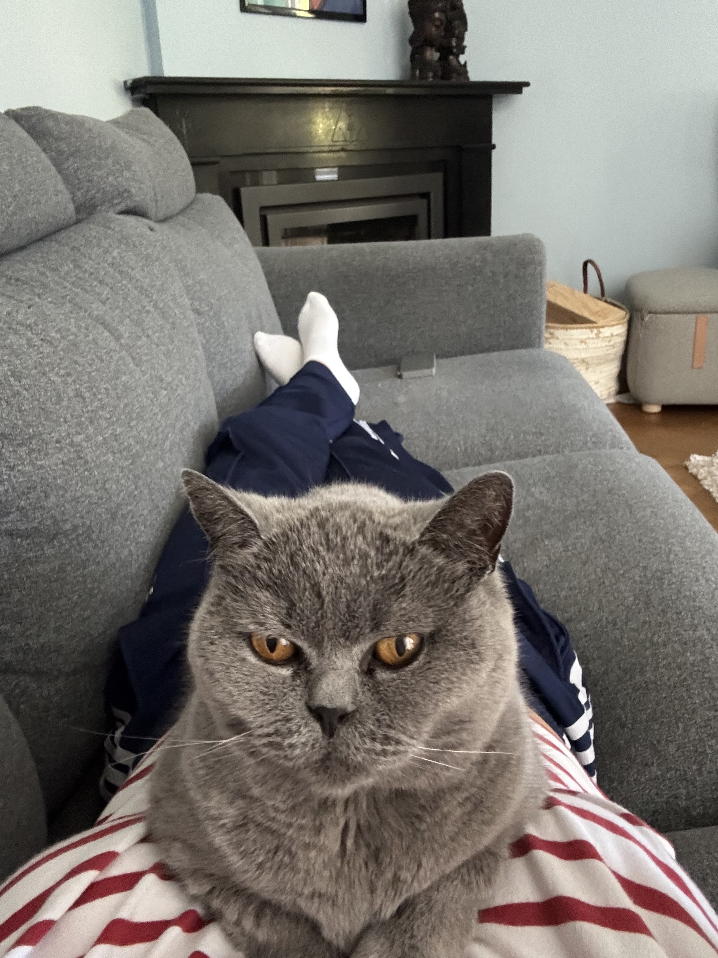 image-10