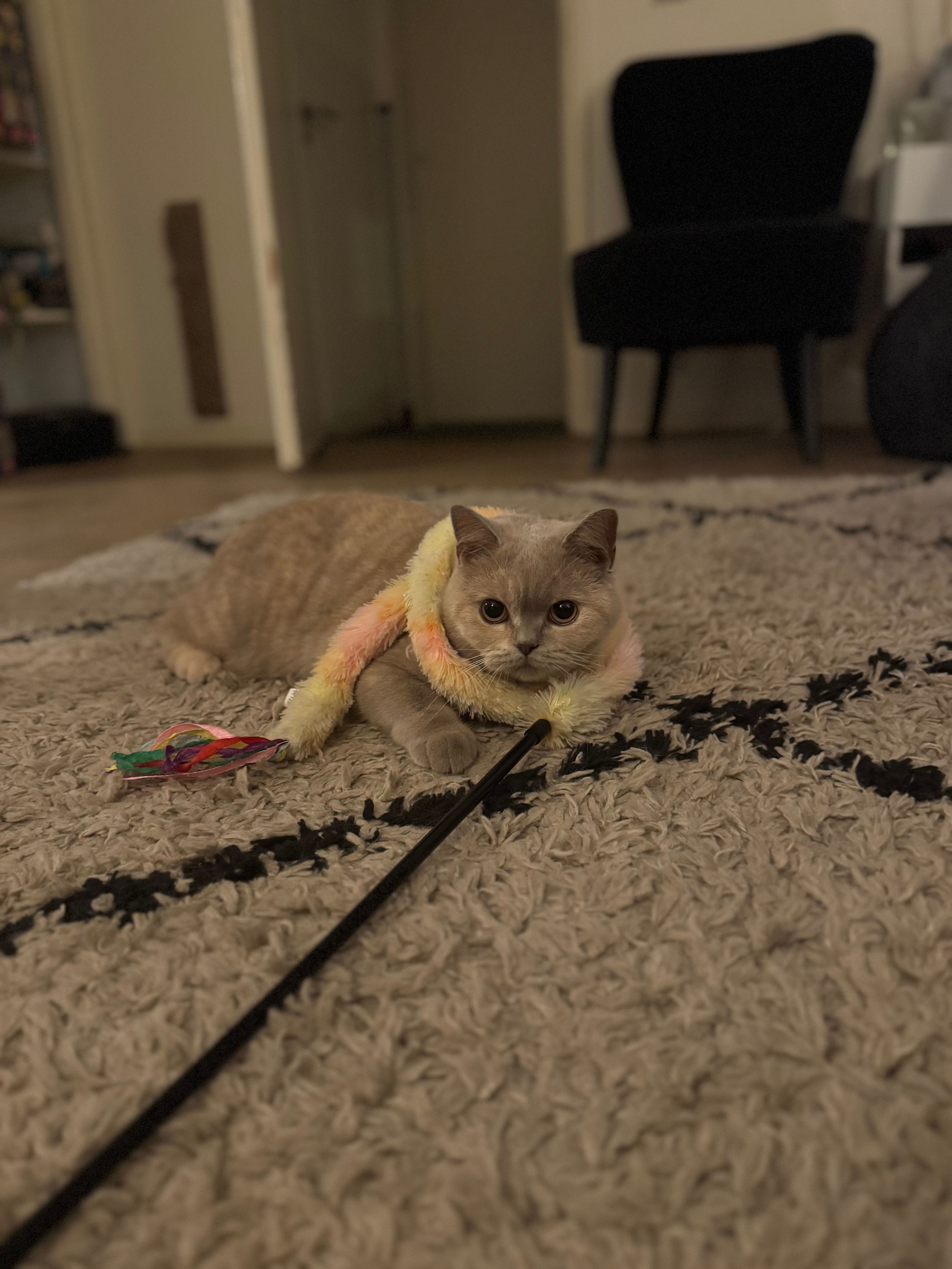 image-12