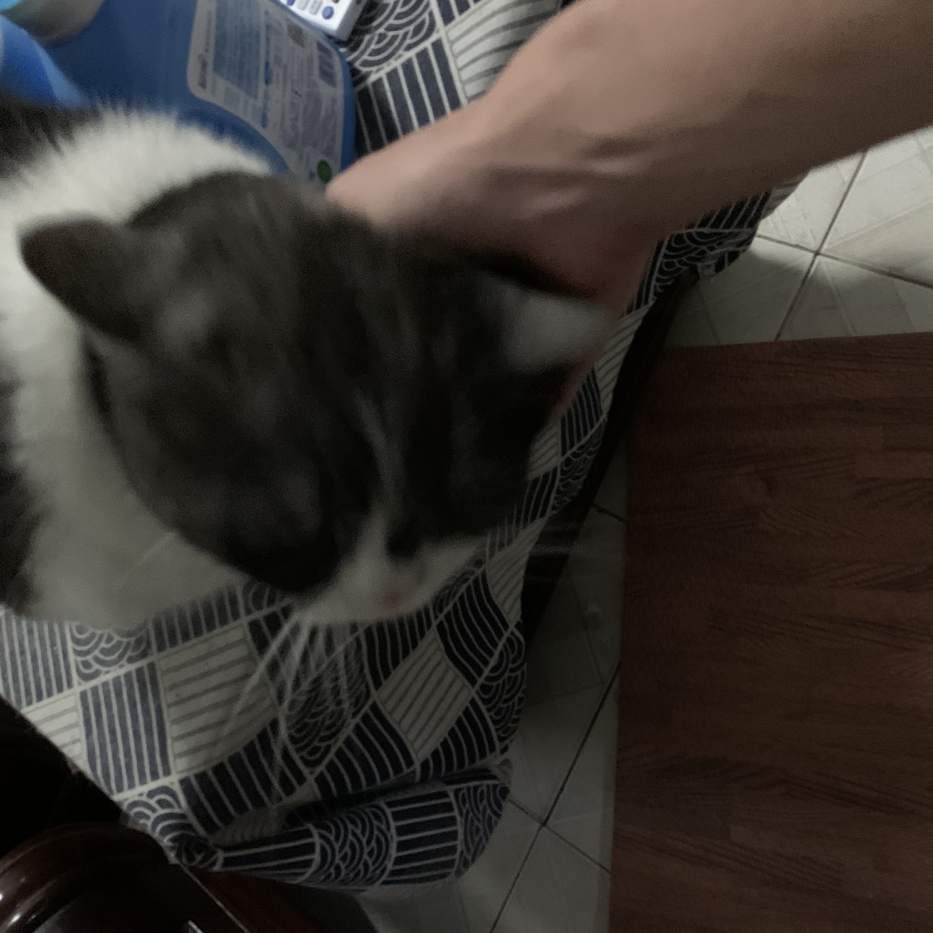 image-7