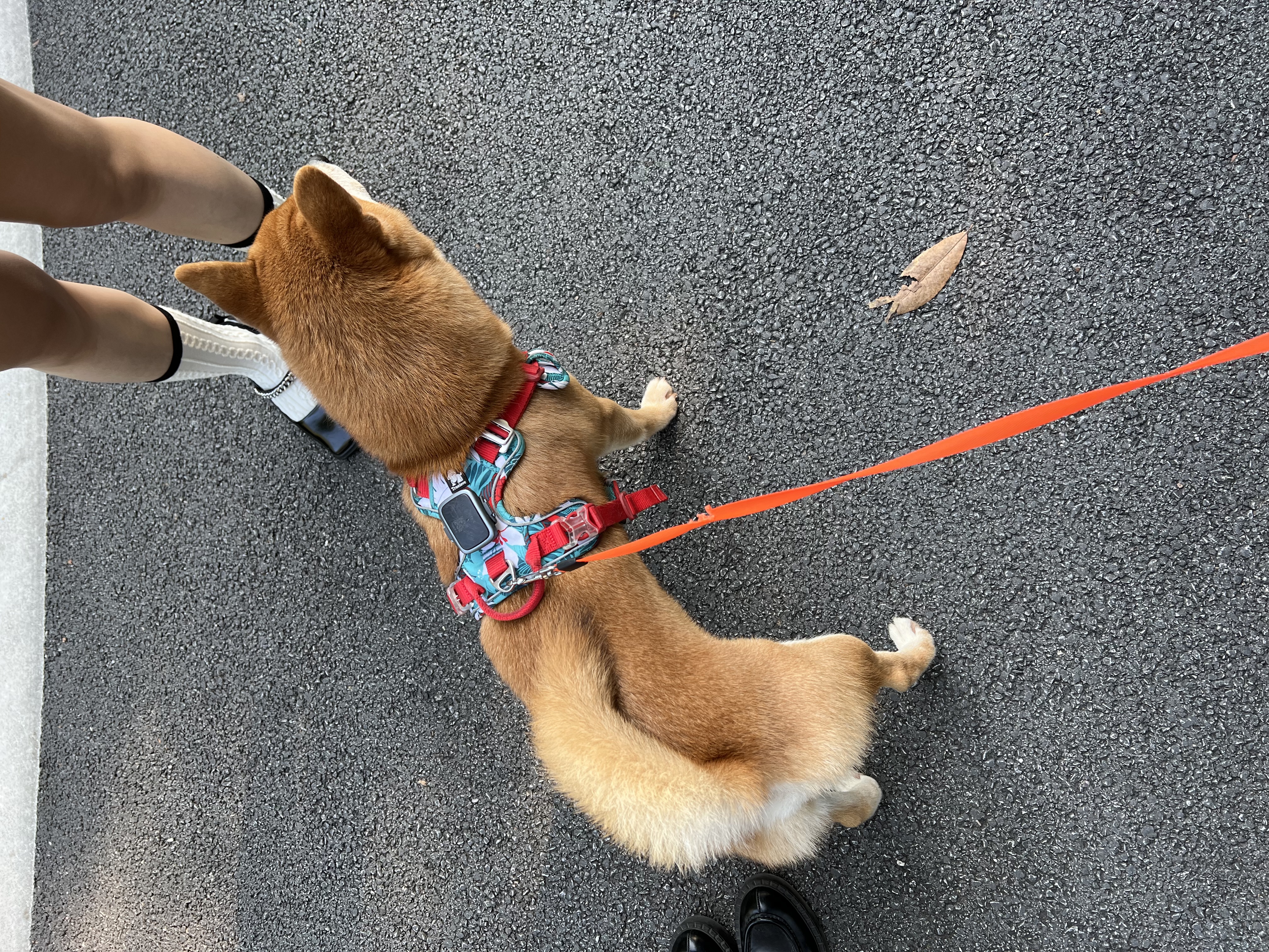 image-6