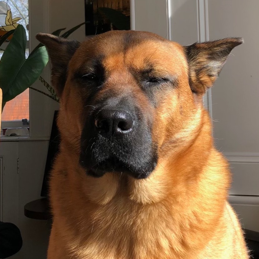Amber