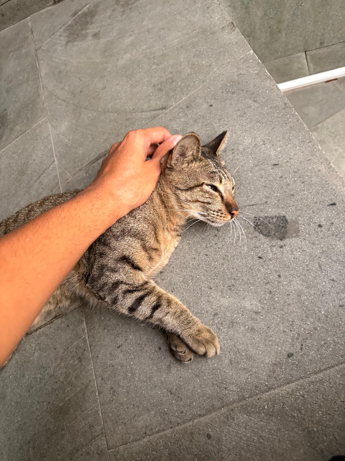 image-6