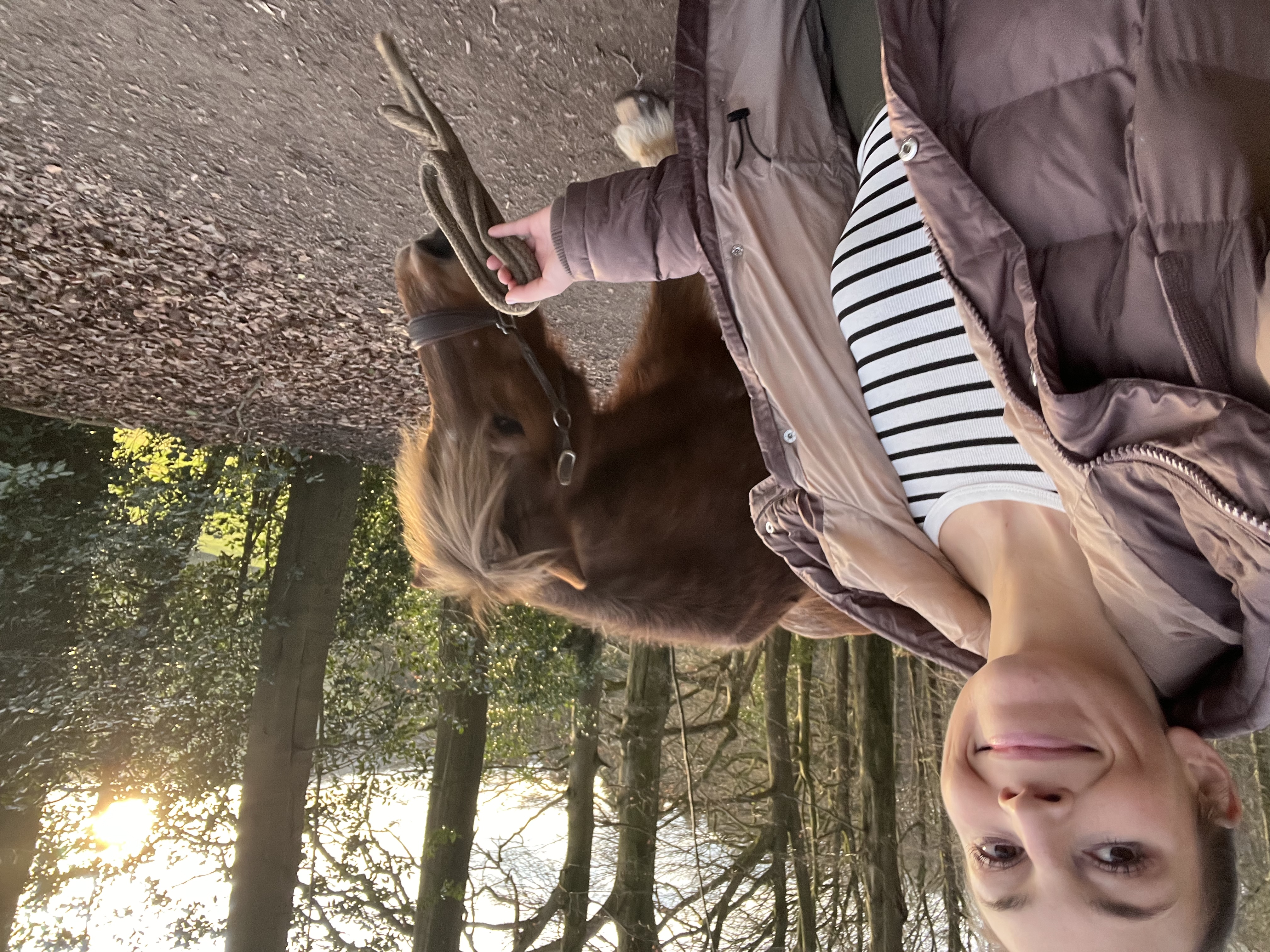 image-4