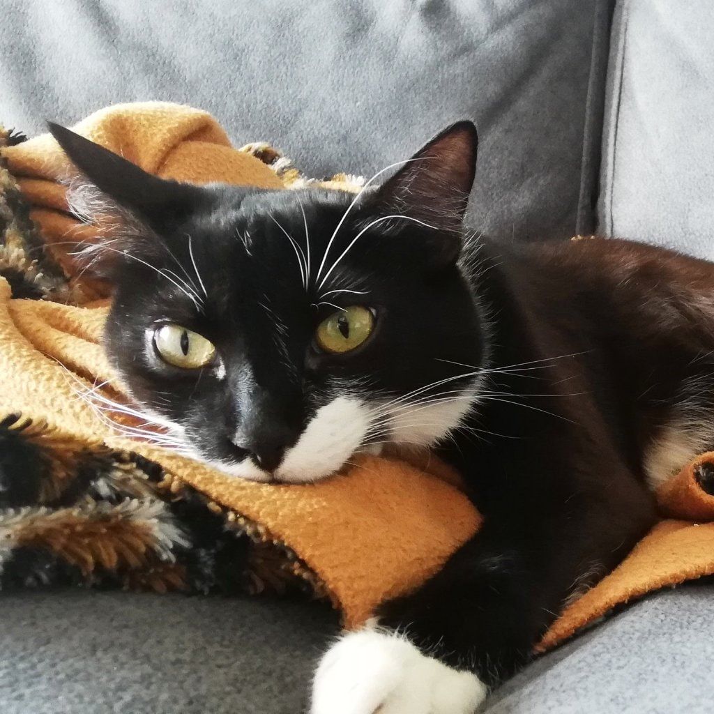 Lucy