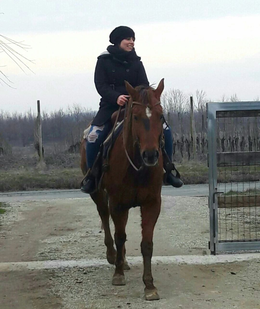image-6