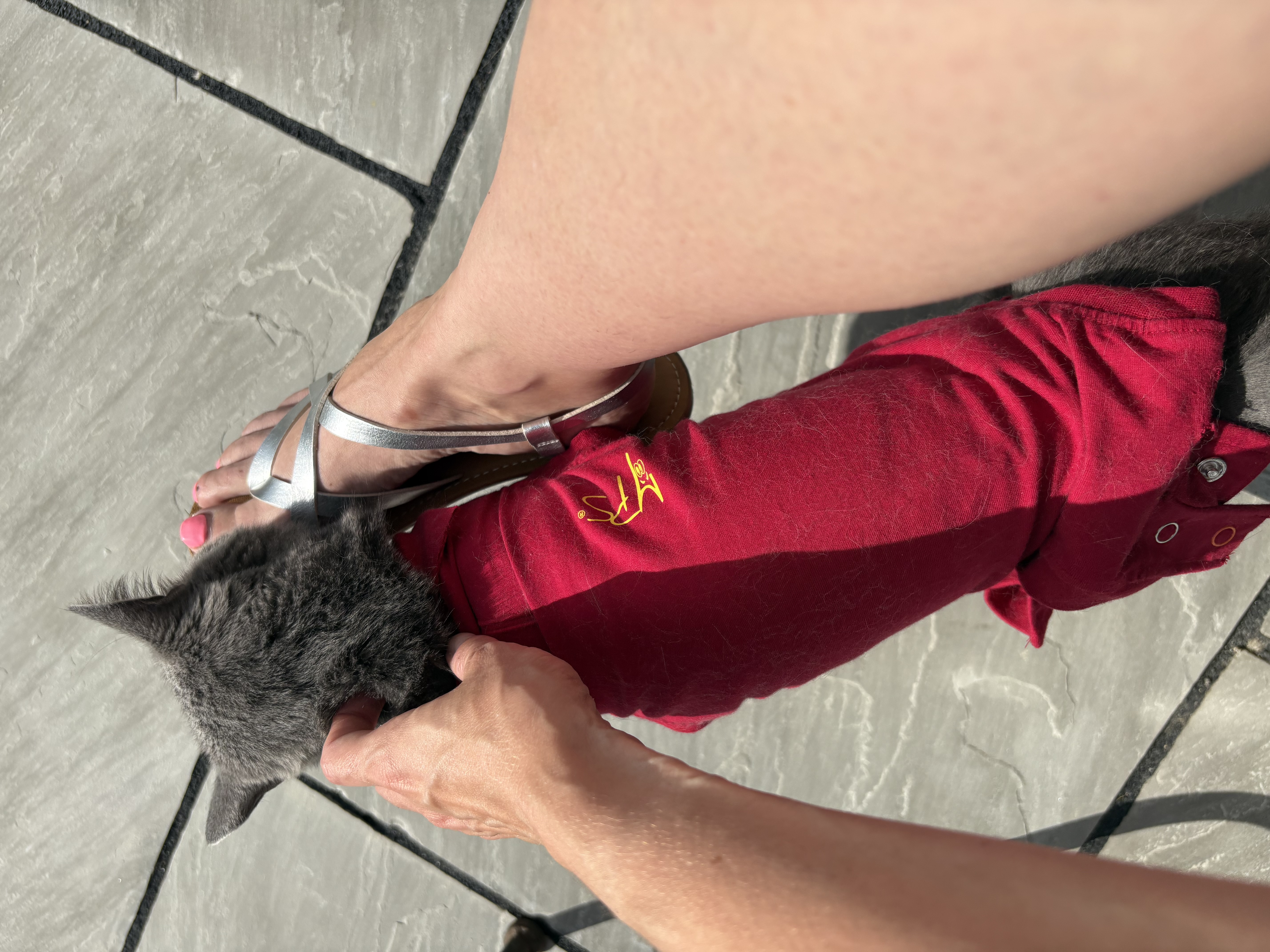 image-11