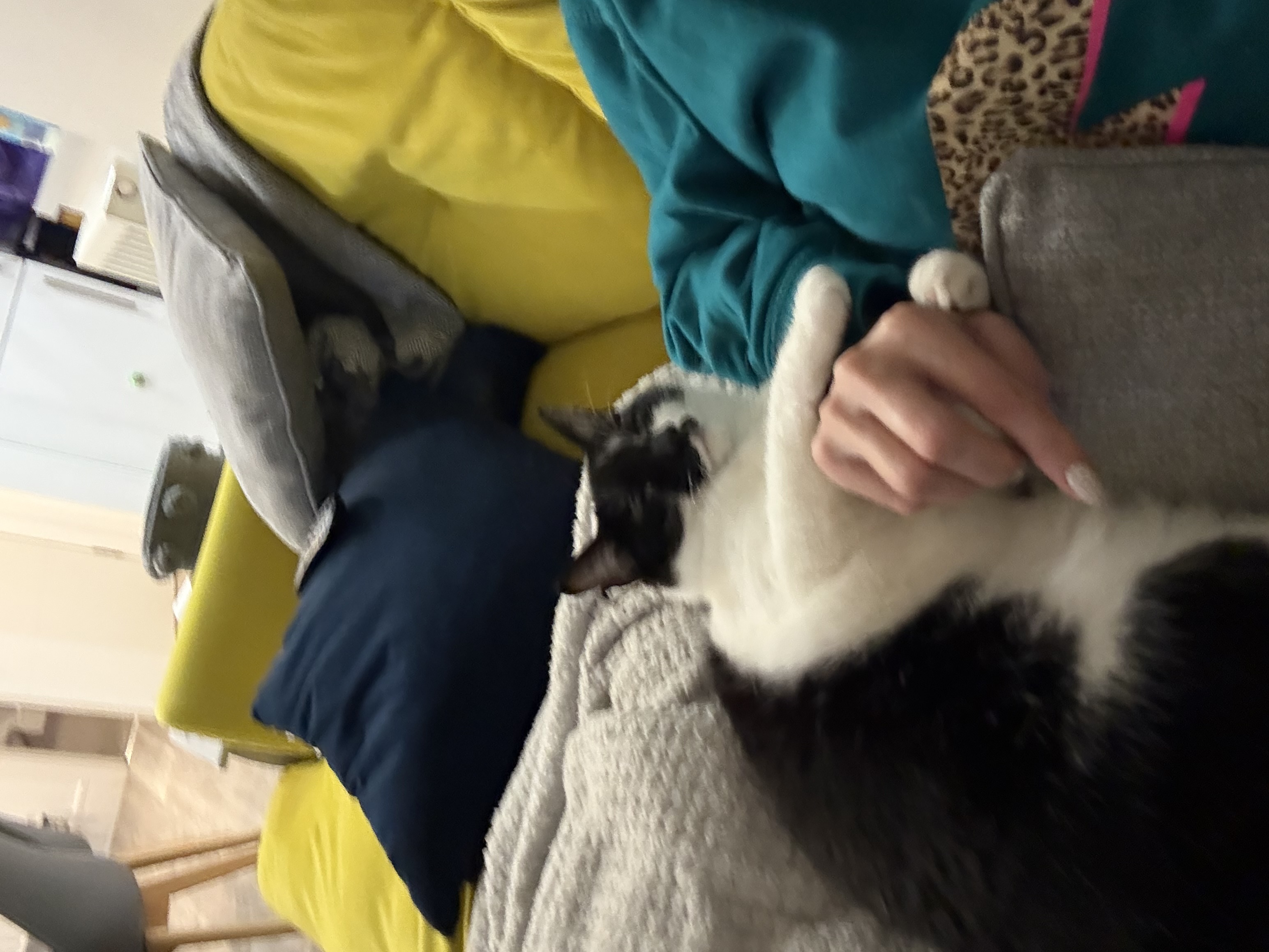 image-9