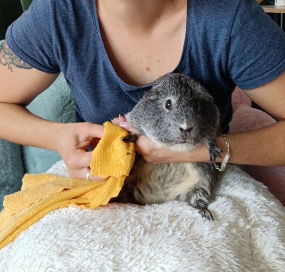 image-8