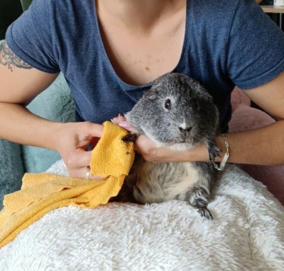 image-8