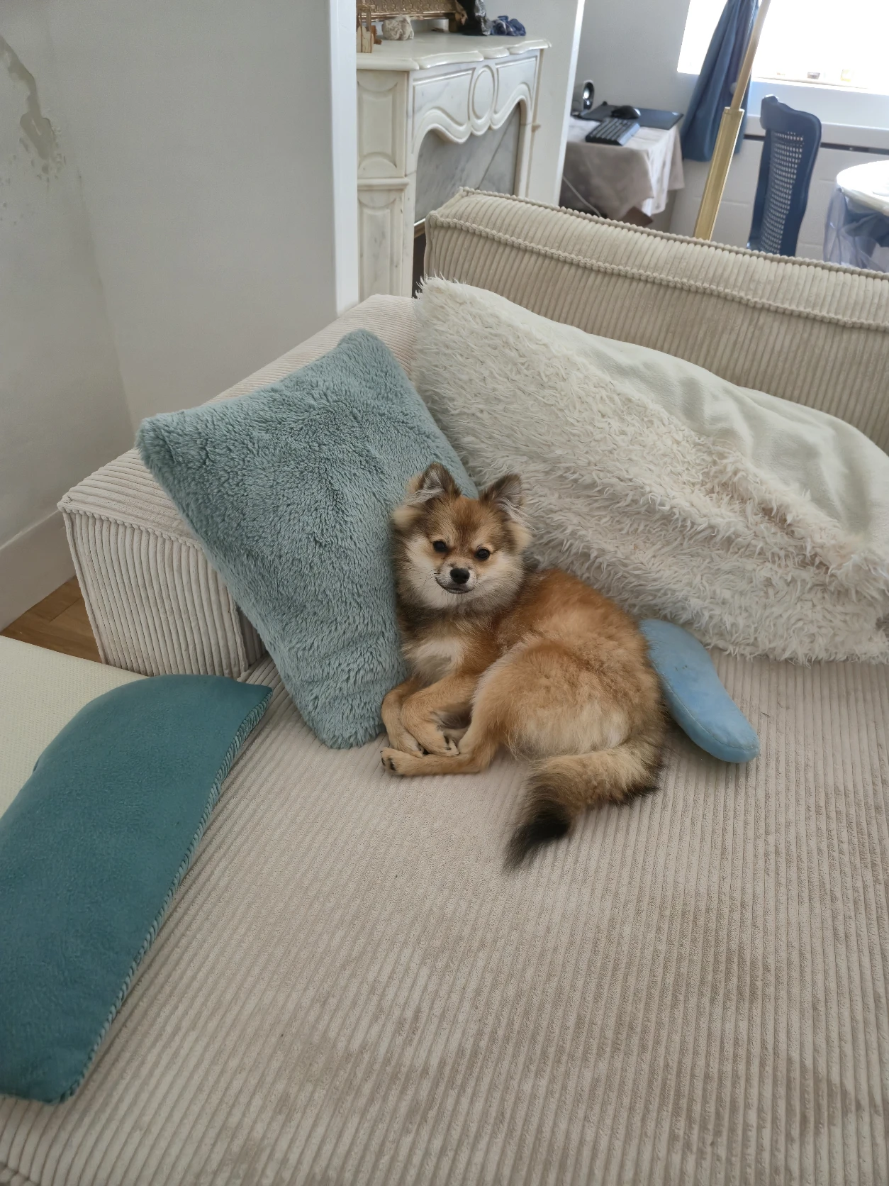image-16