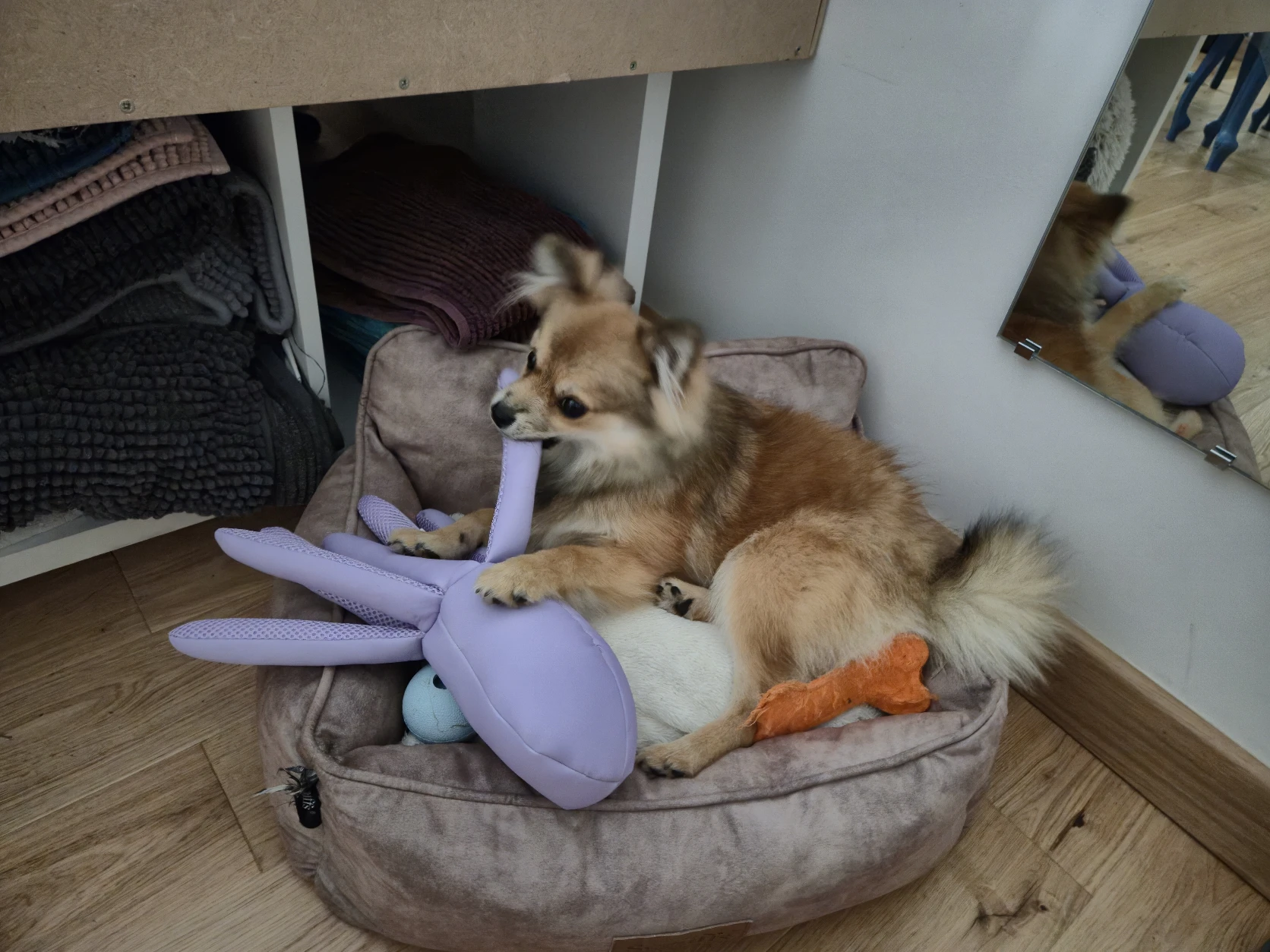 image-15
