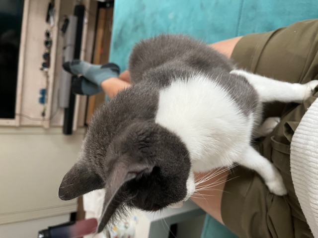 image-10
