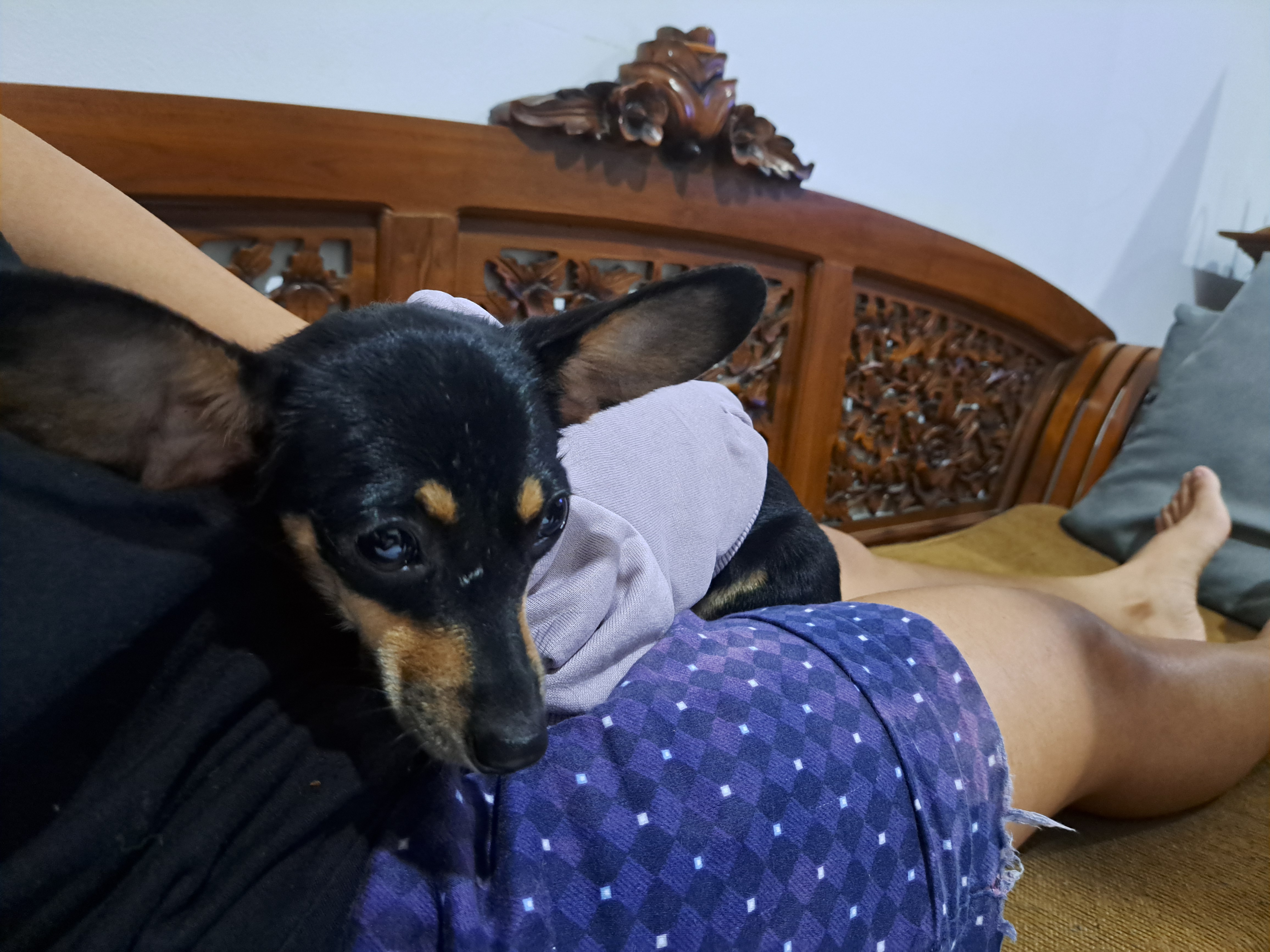 image-9