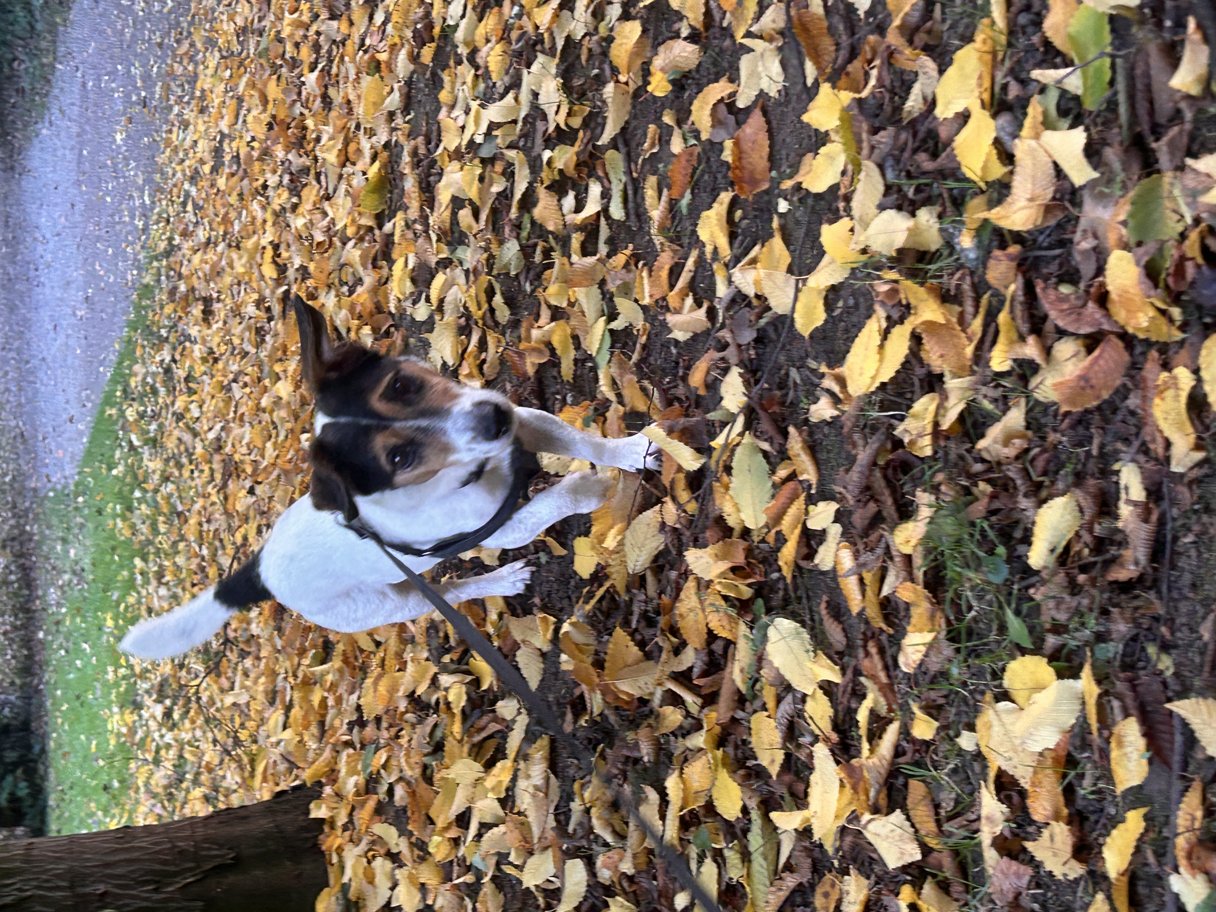 image-5