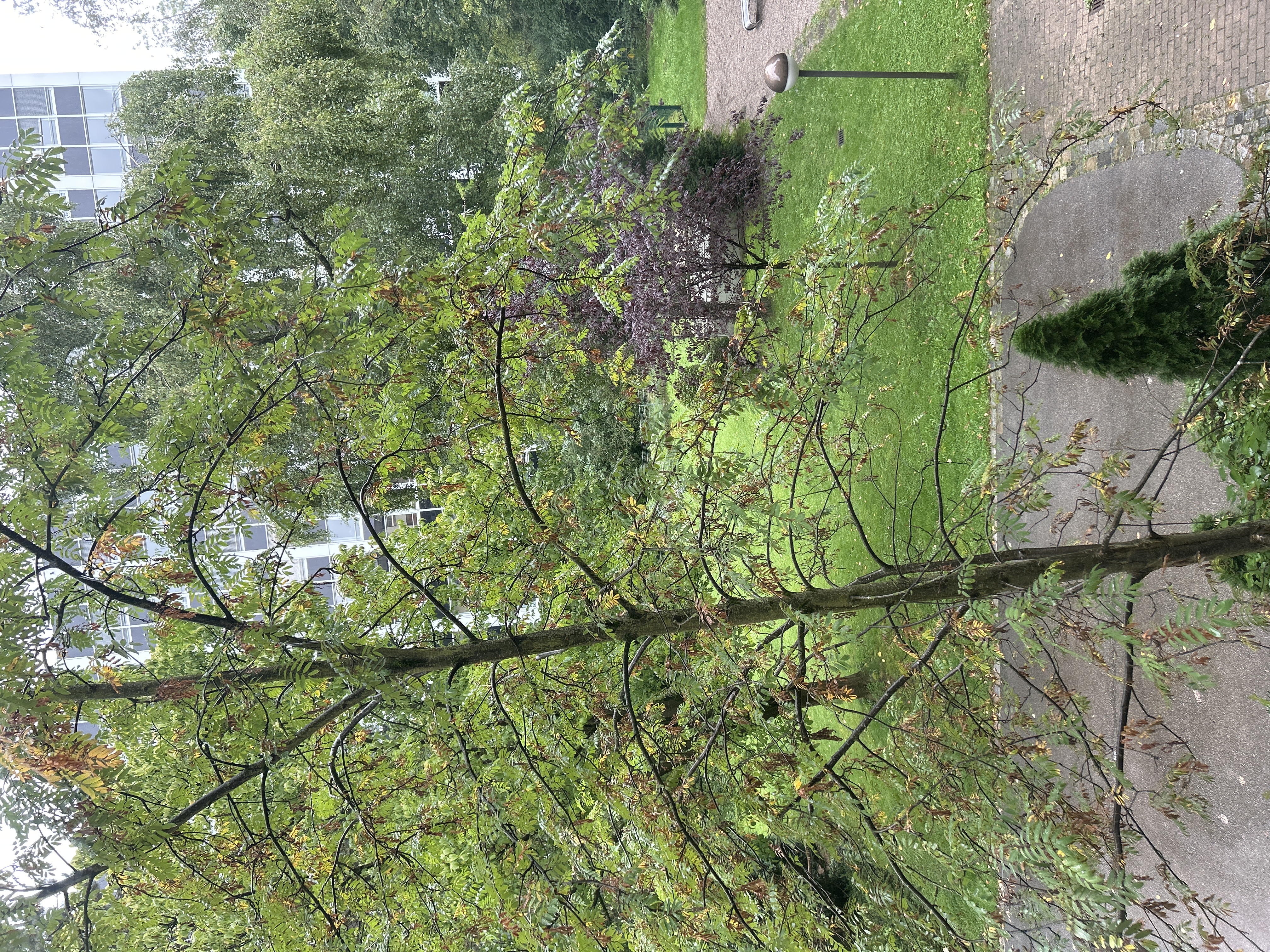 image-34