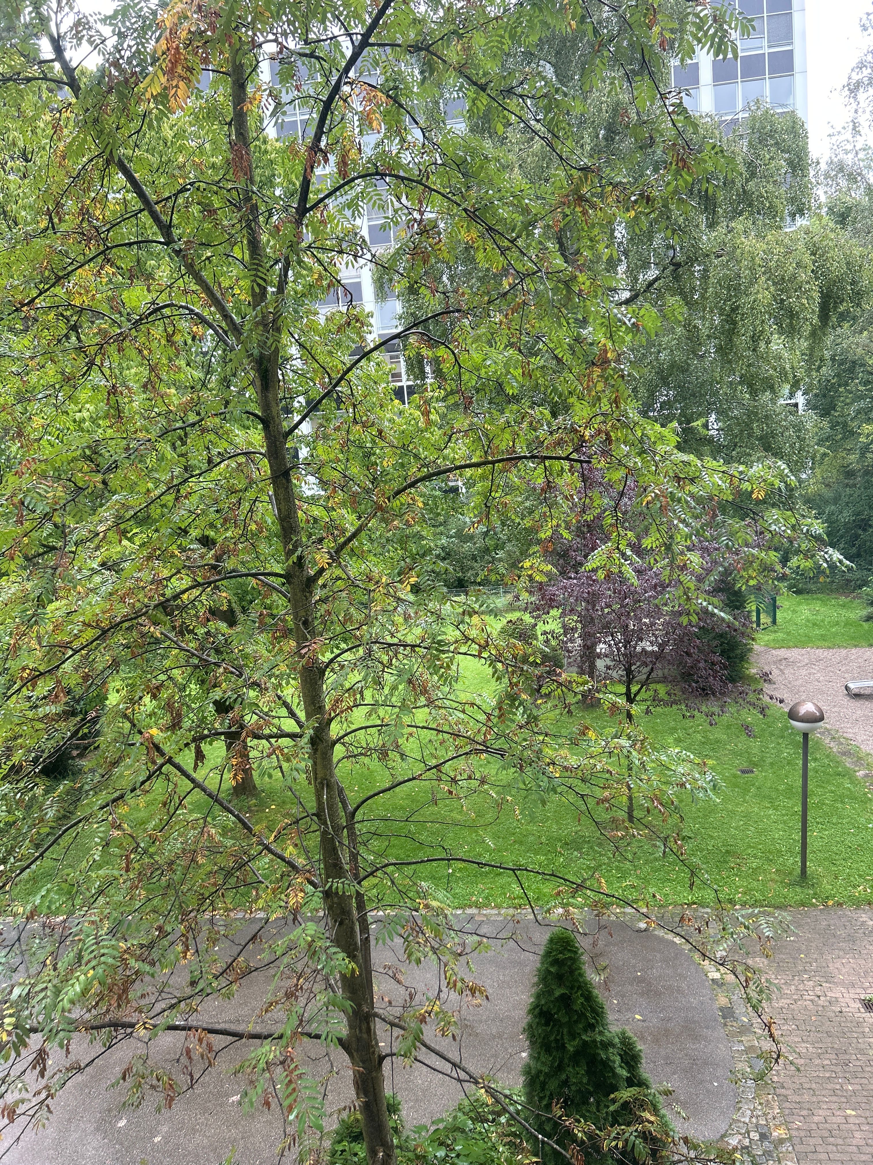 image-34