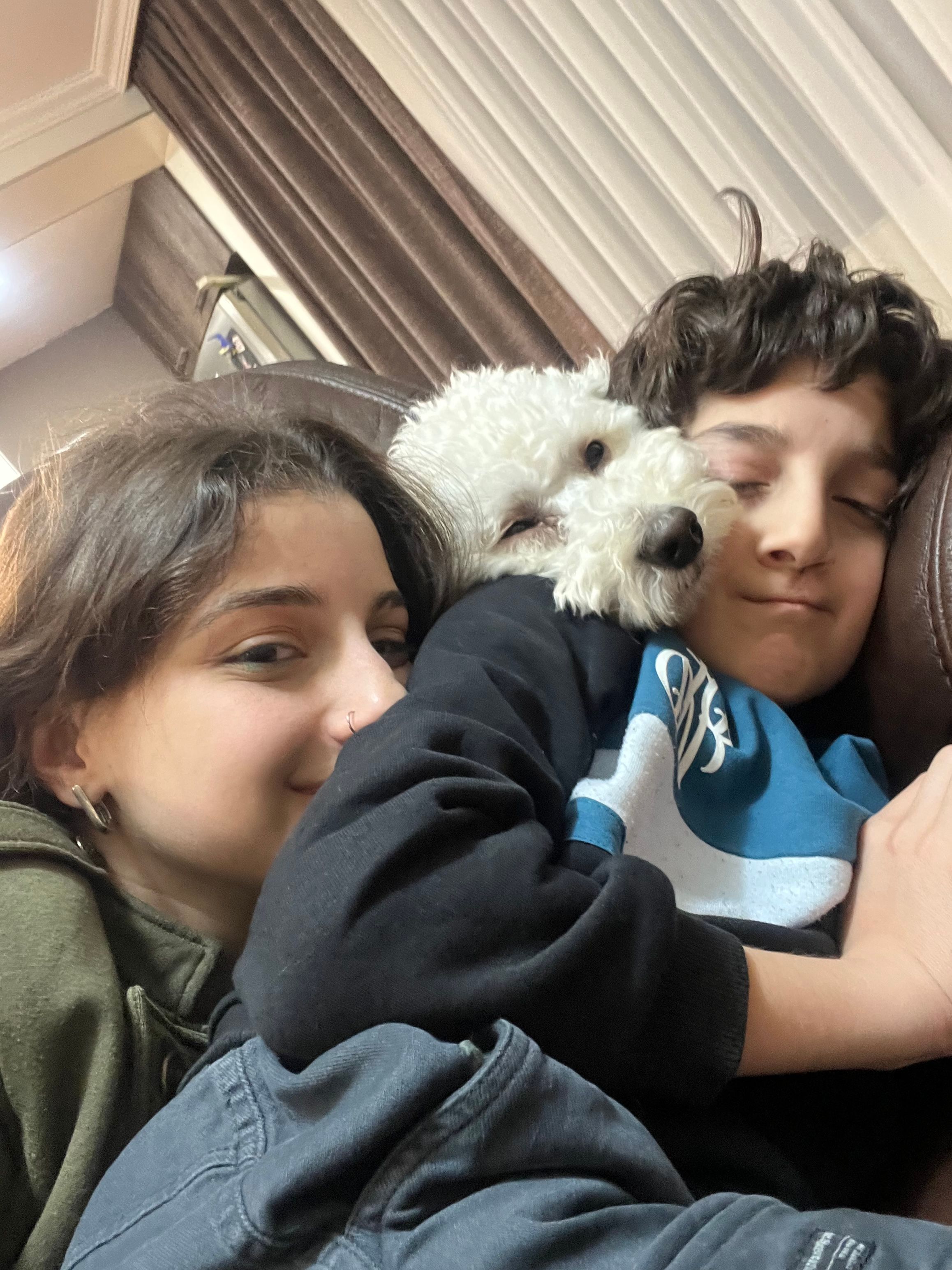 image-11