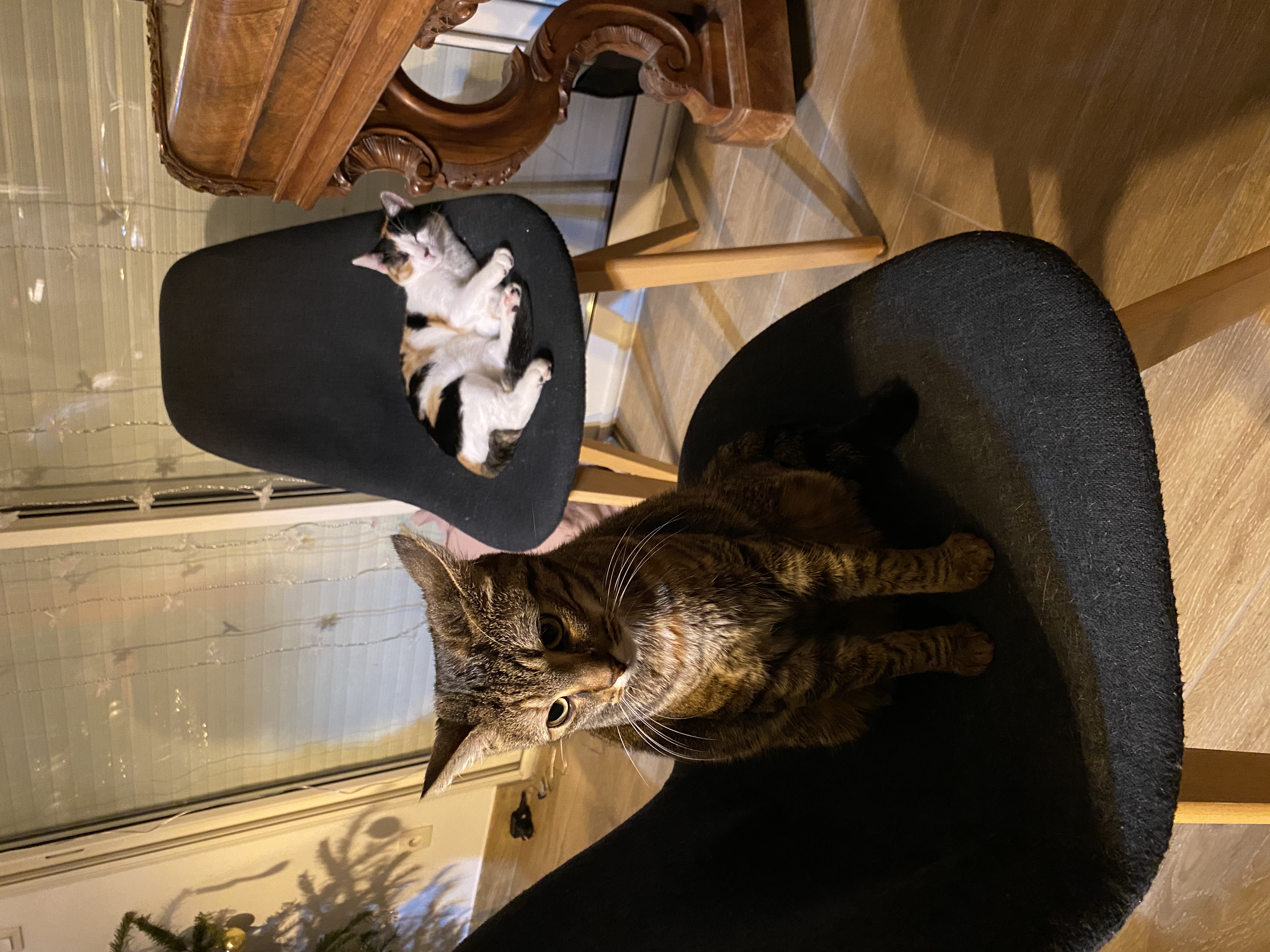 image-6