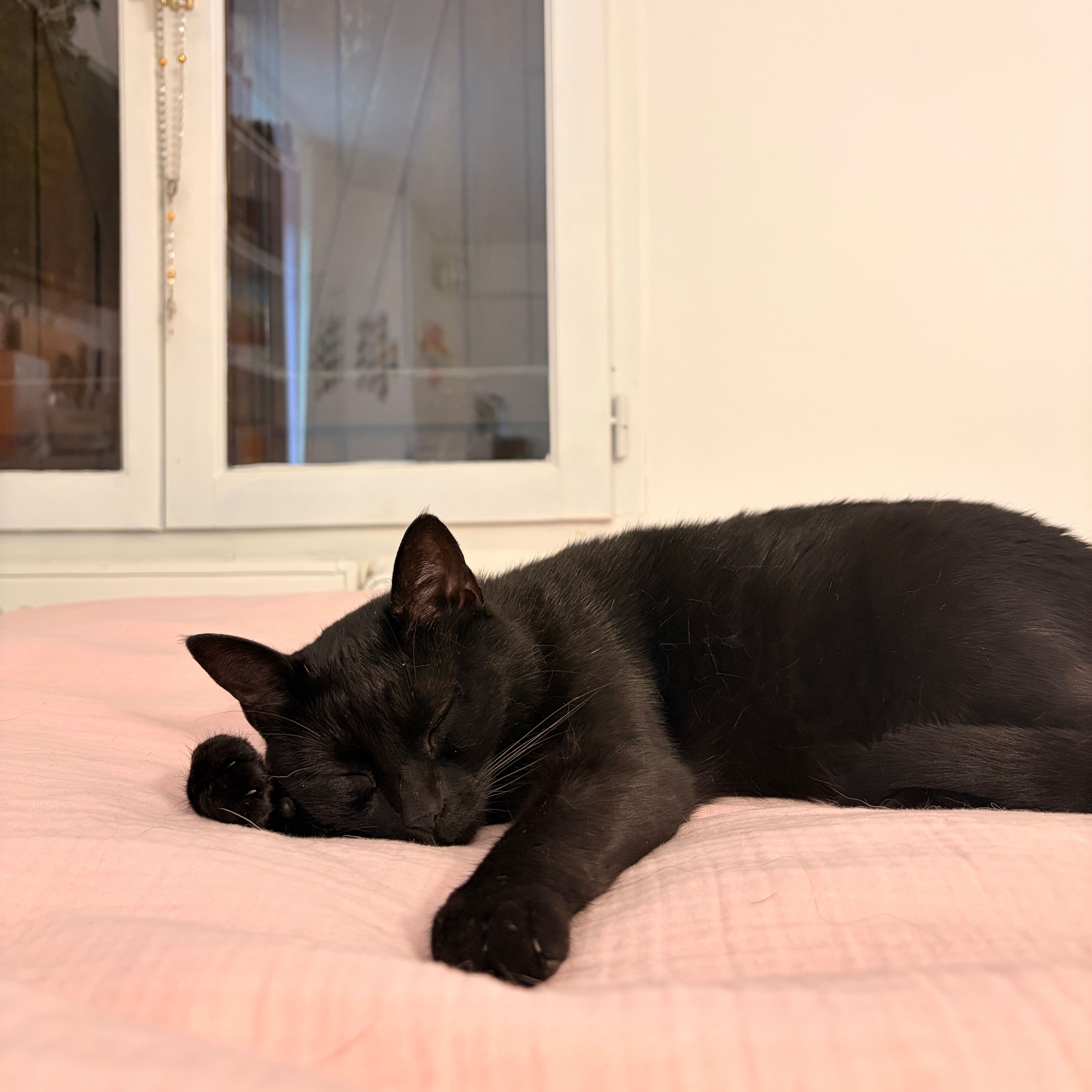 samba