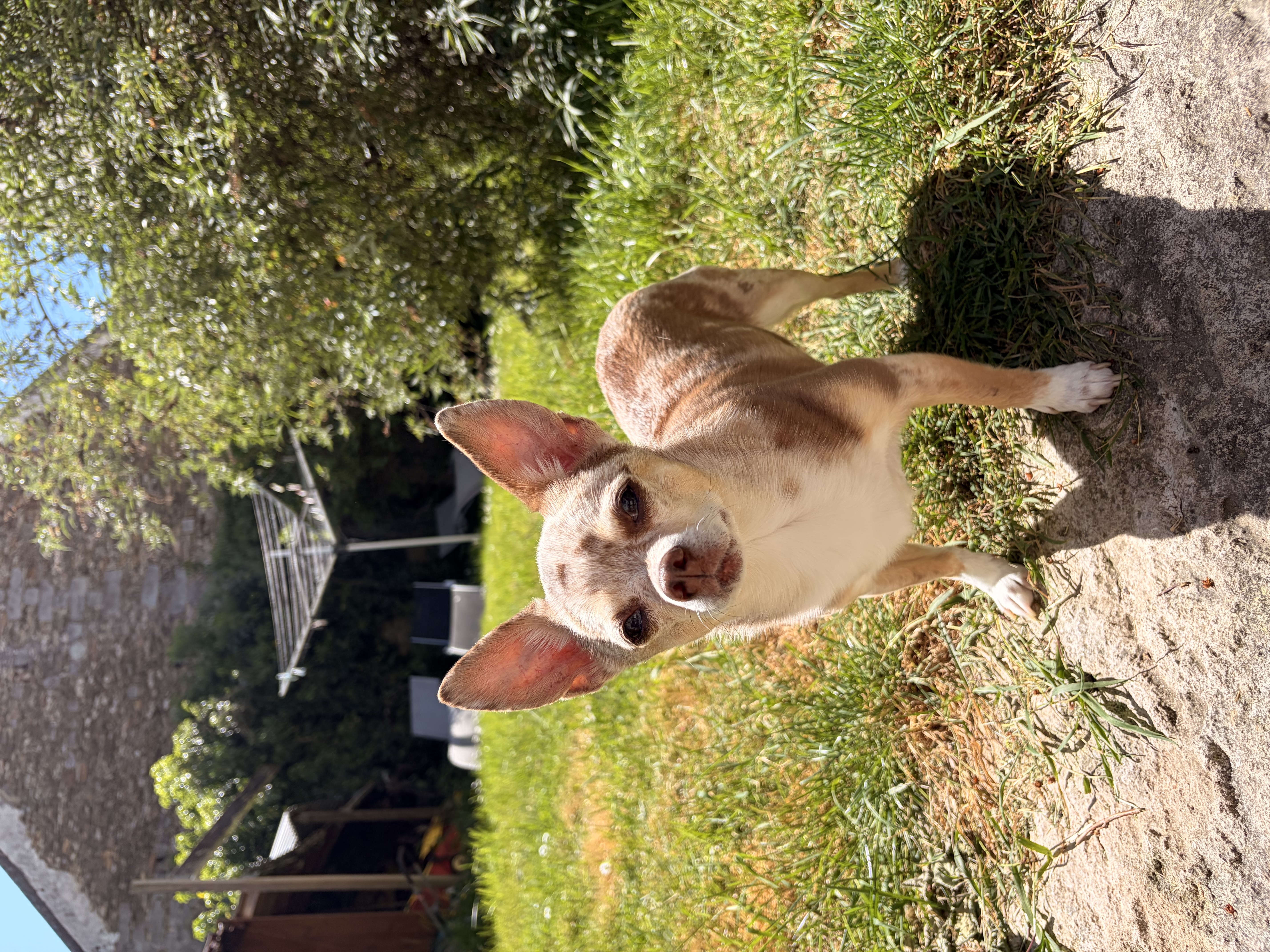 image-9