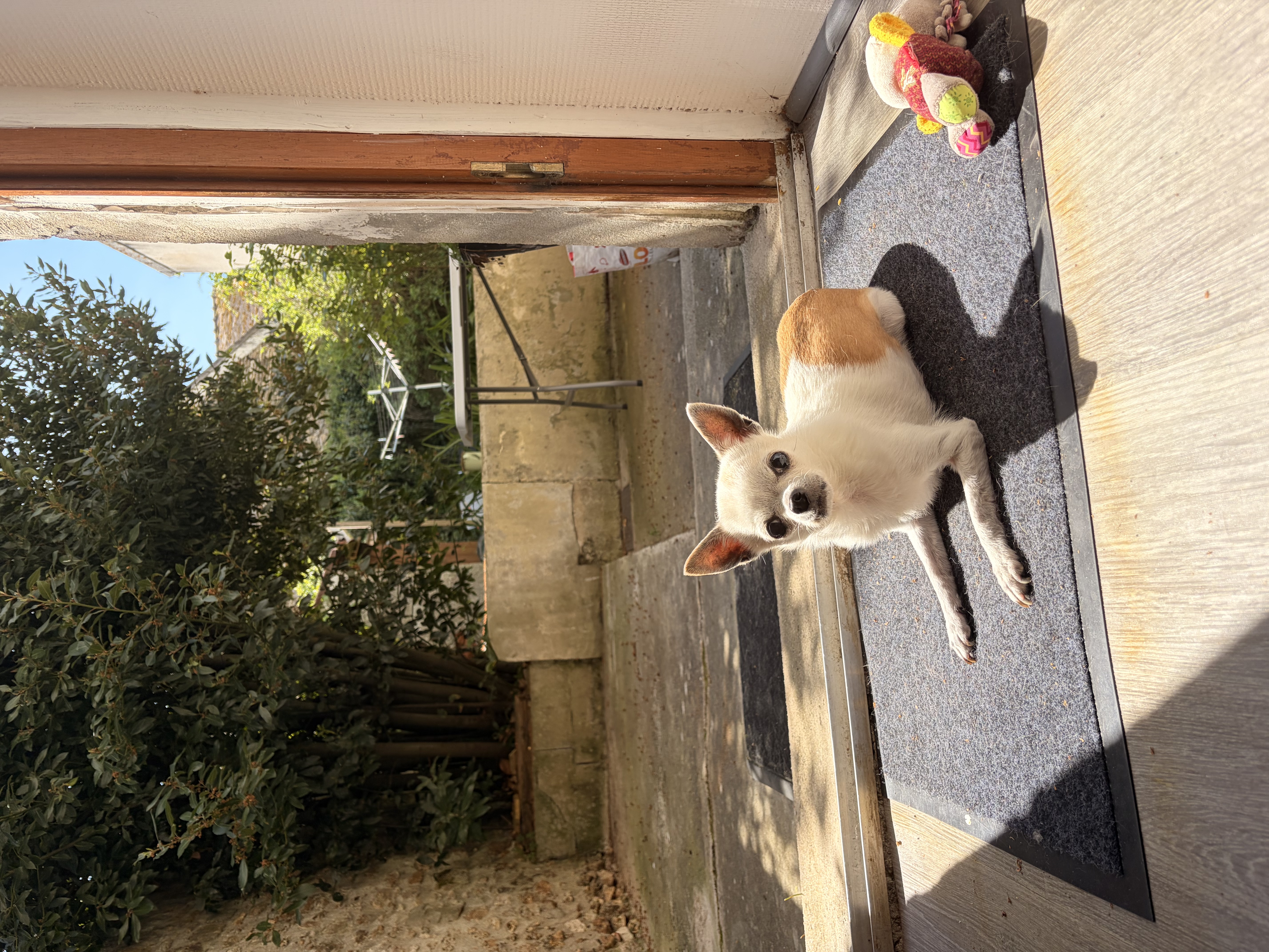 image-8
