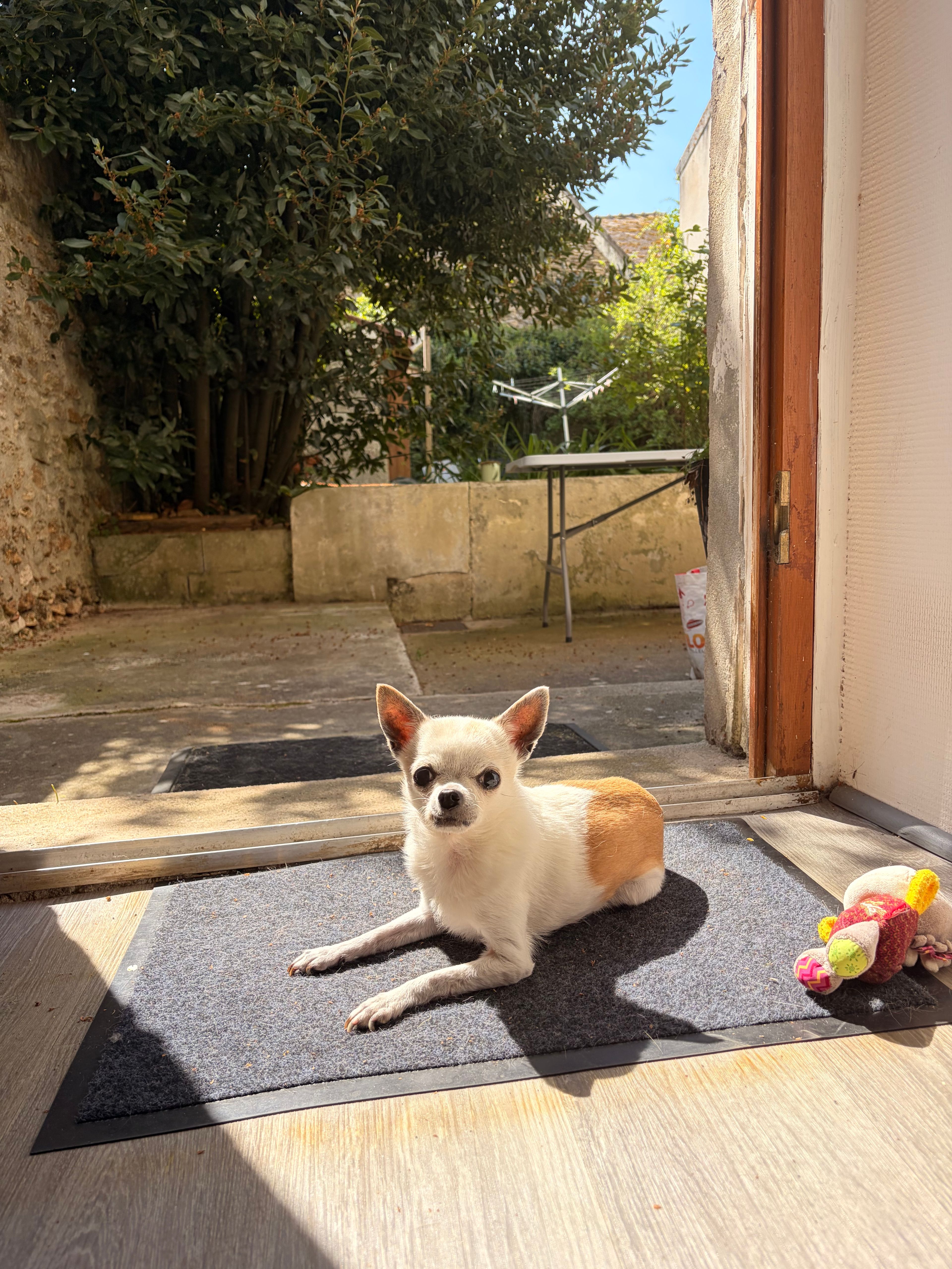 image-8