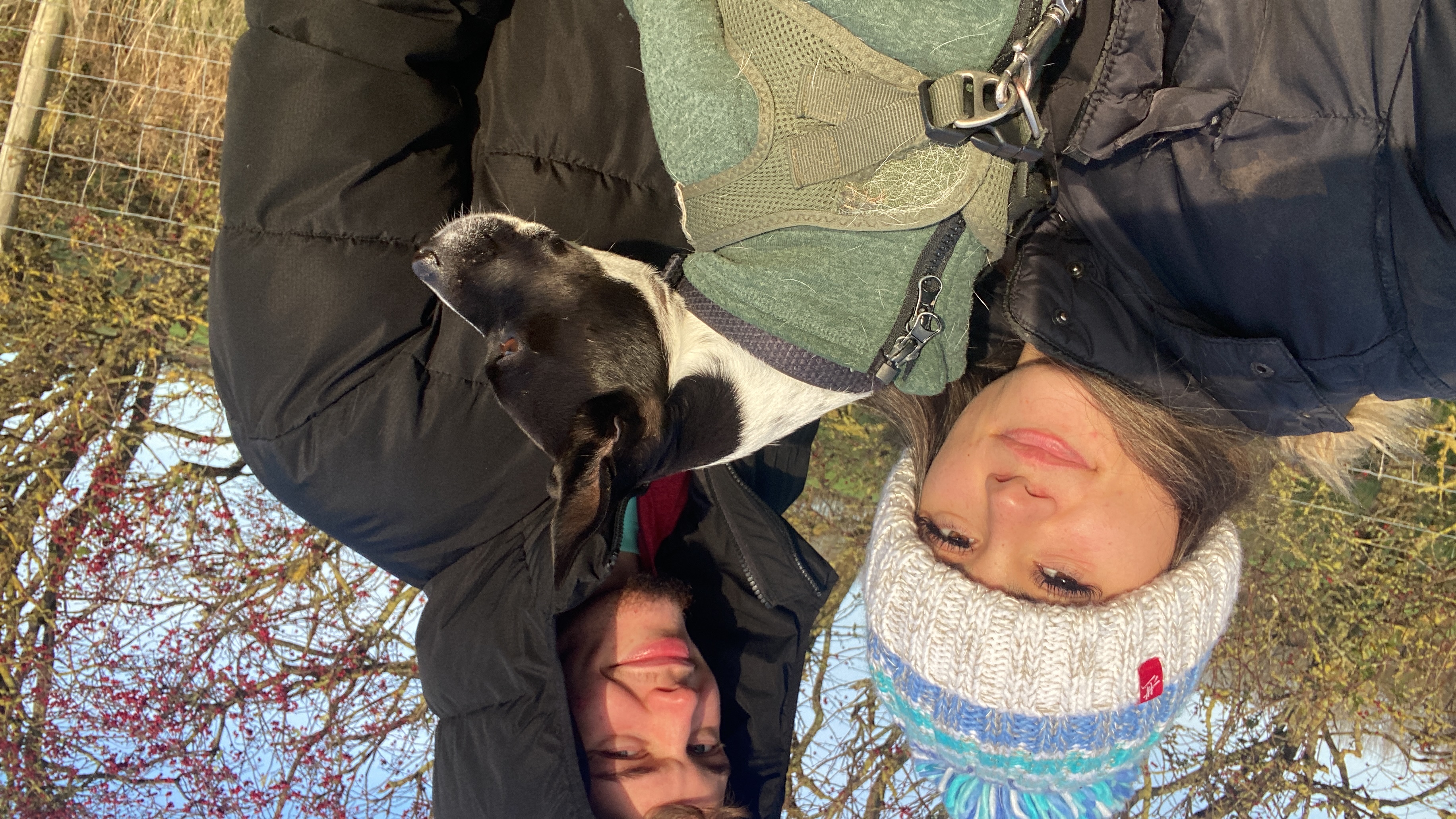 image-7