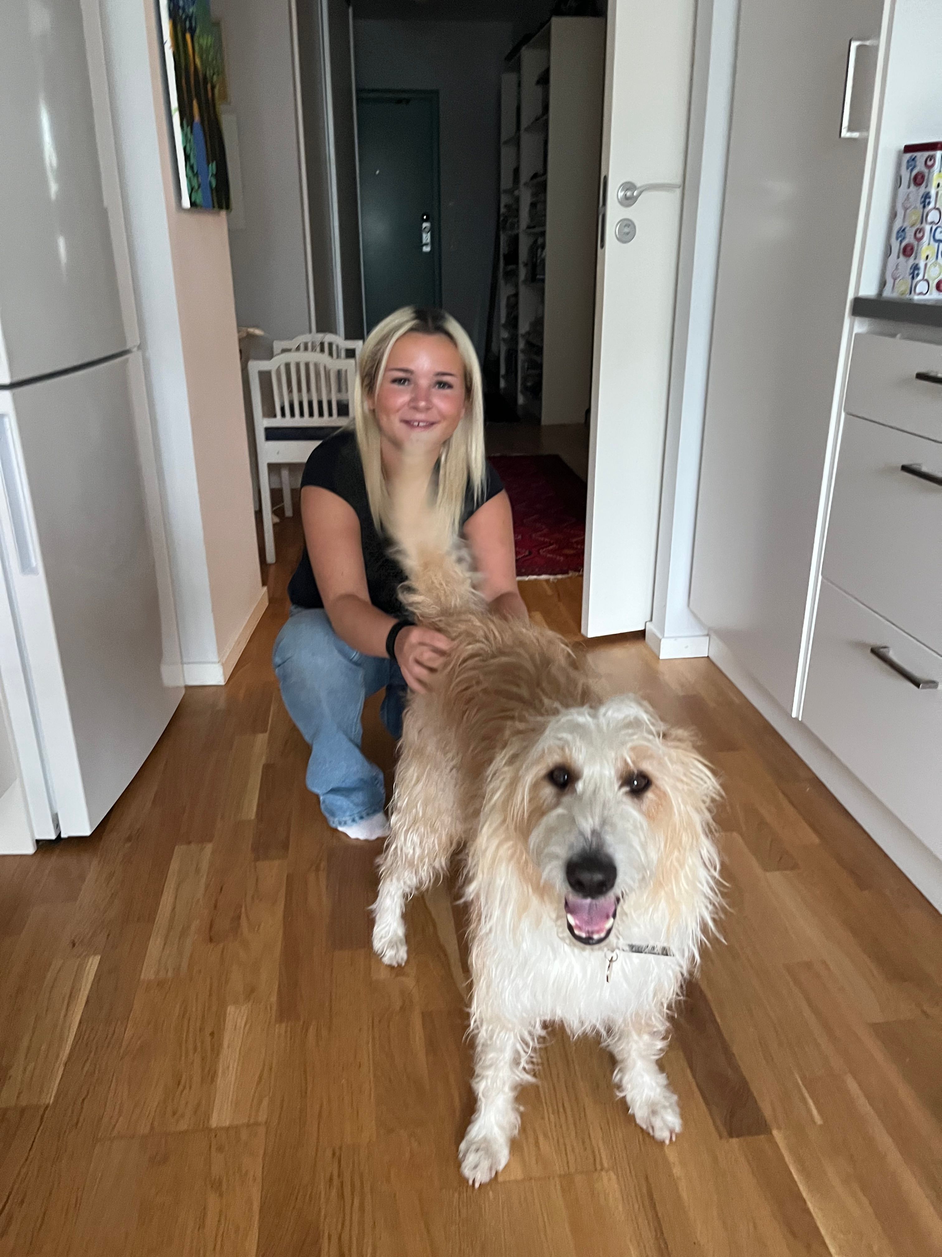 image-2