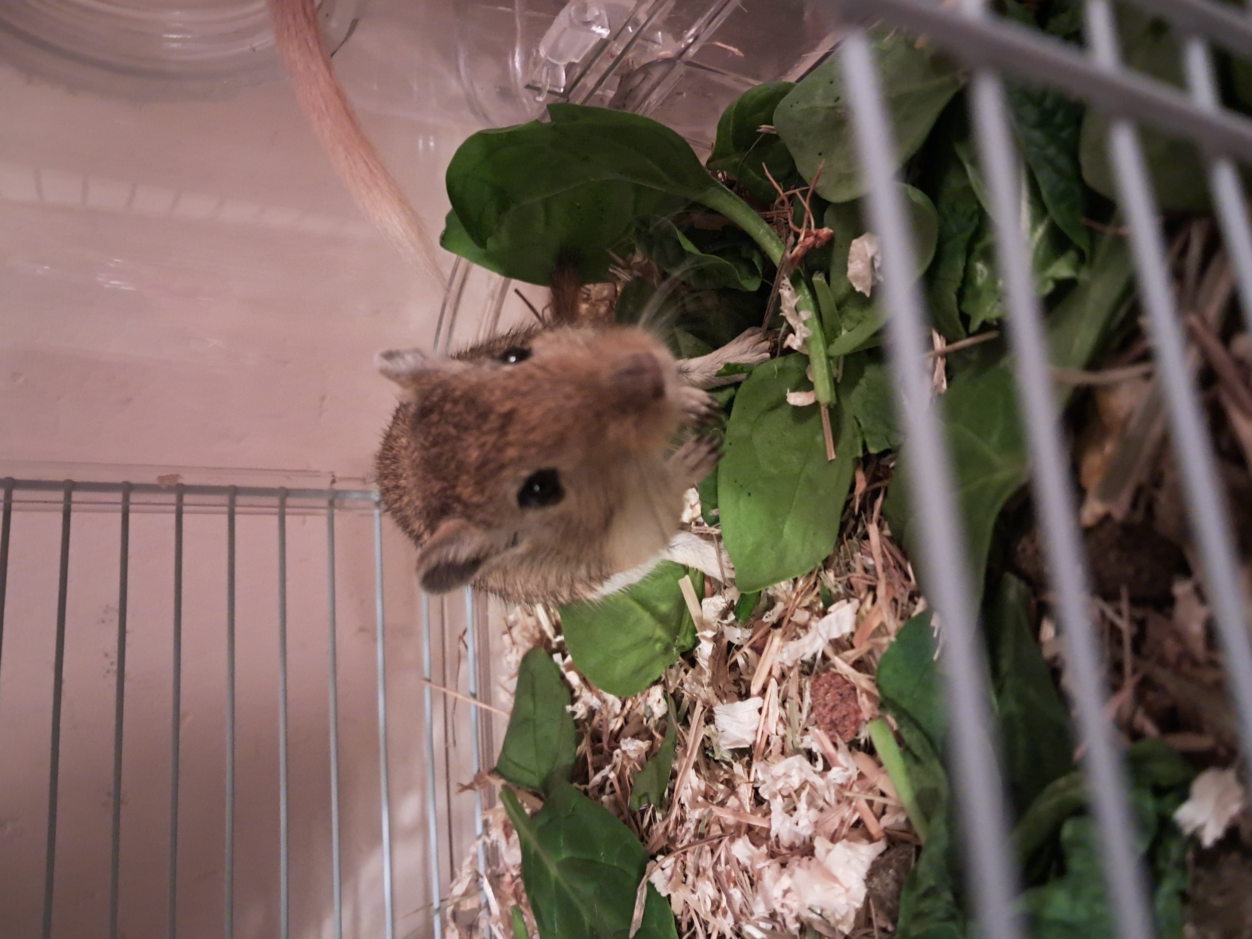 image-5