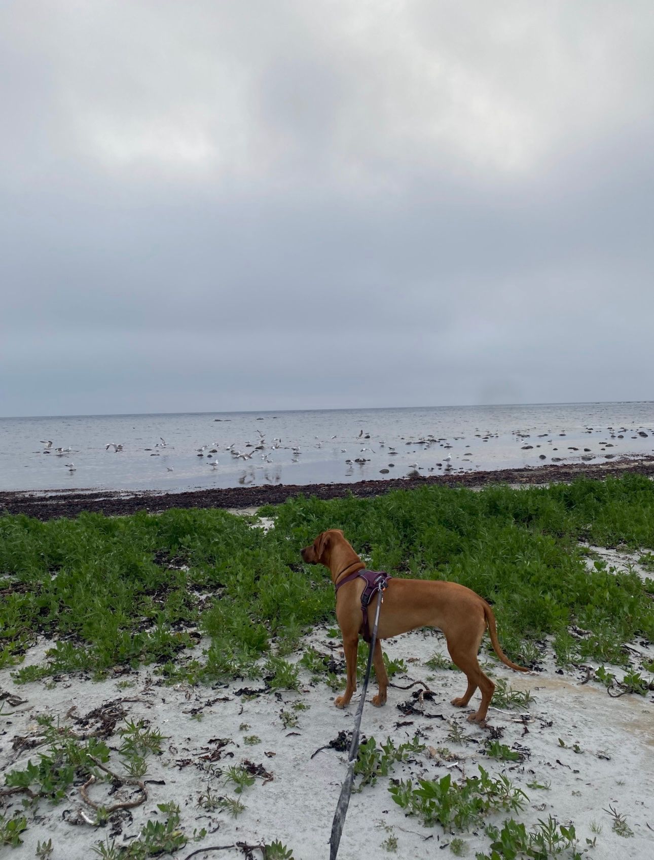 image-7