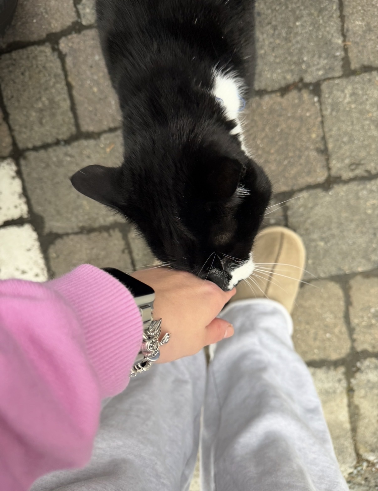 image-7