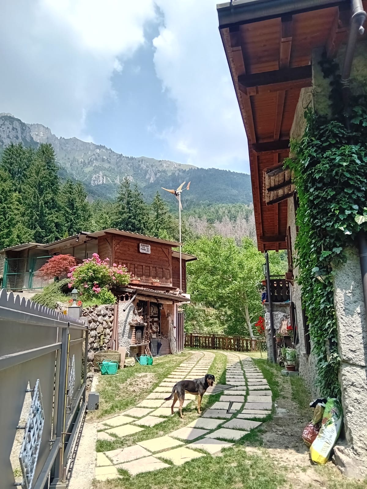 image-17