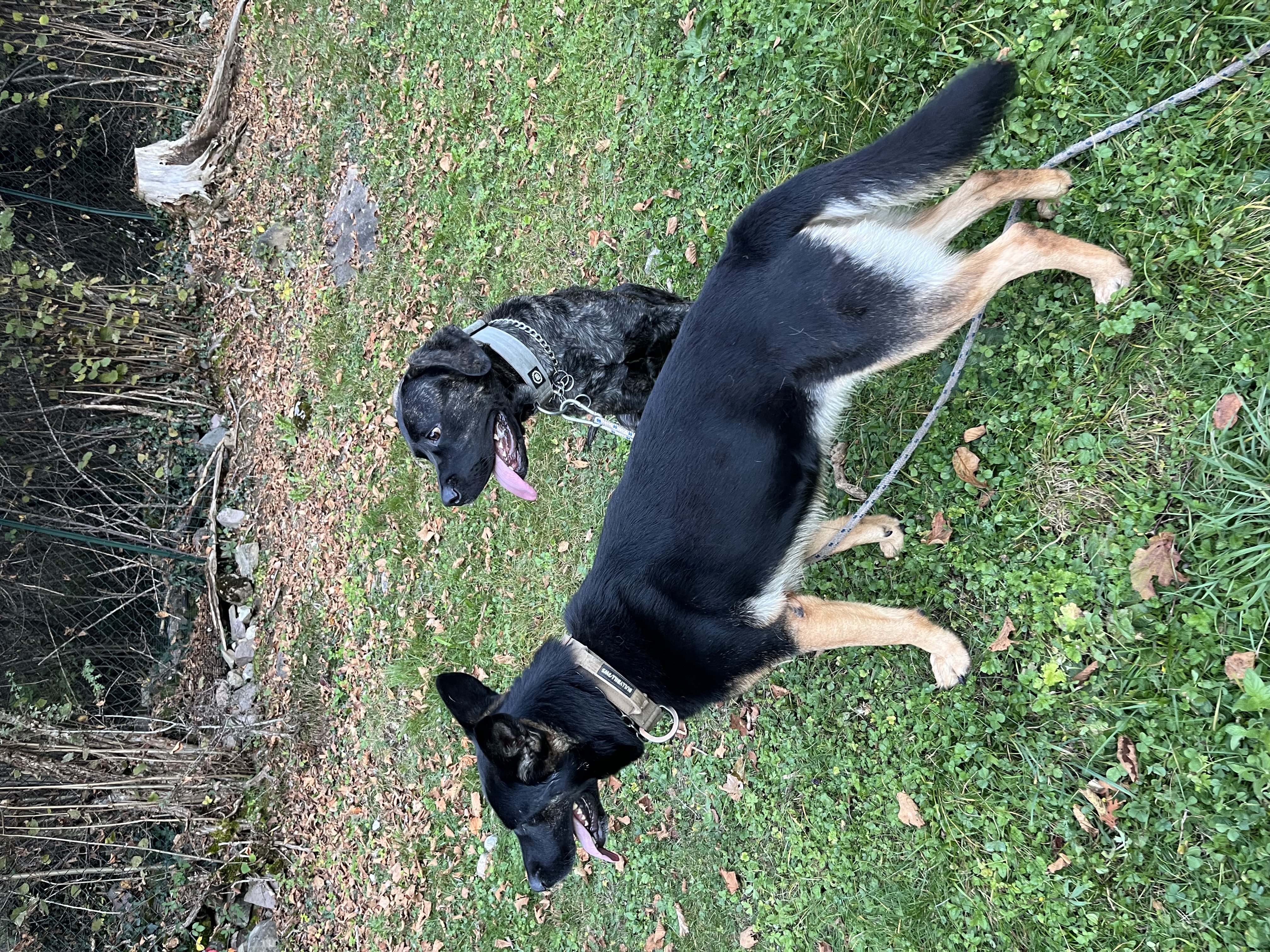 image-6