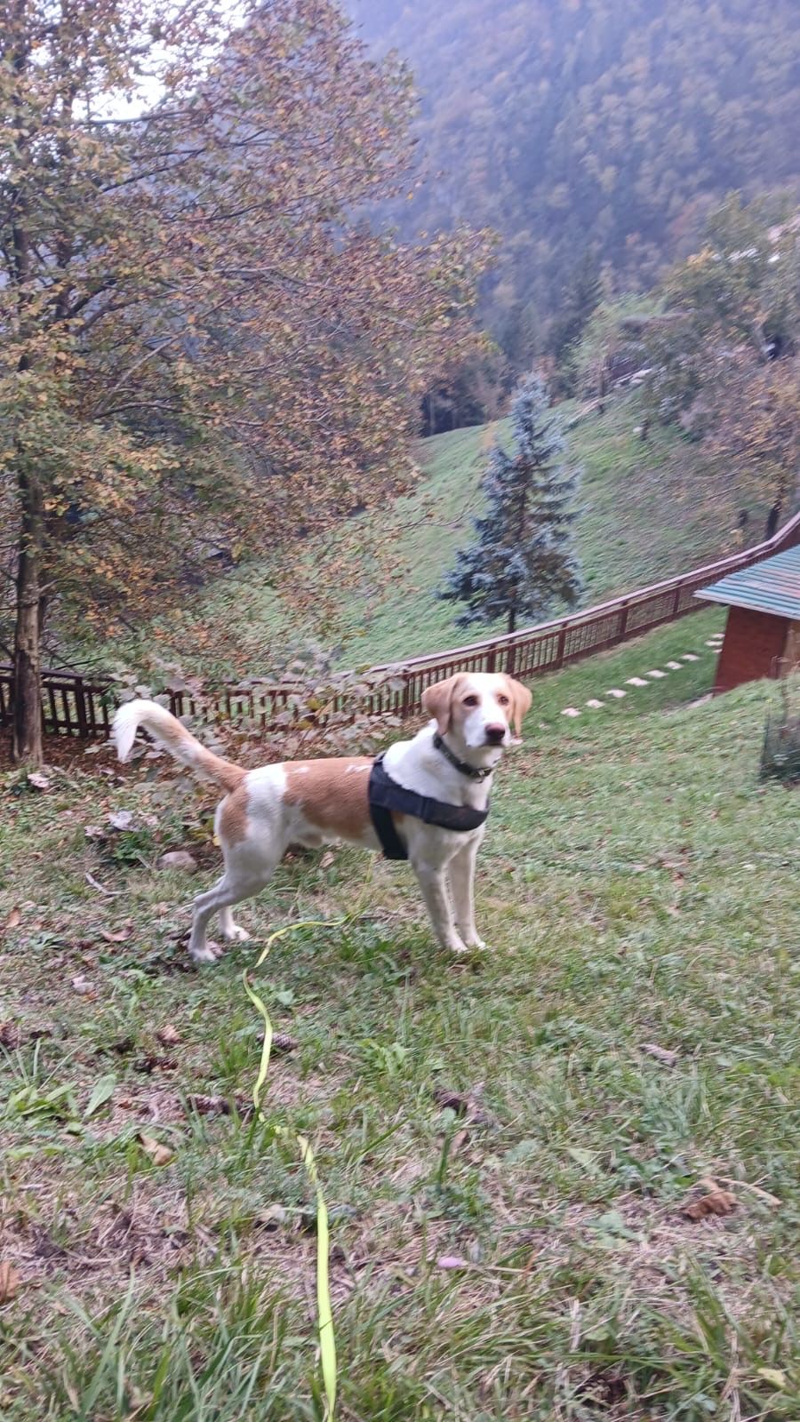 image-5