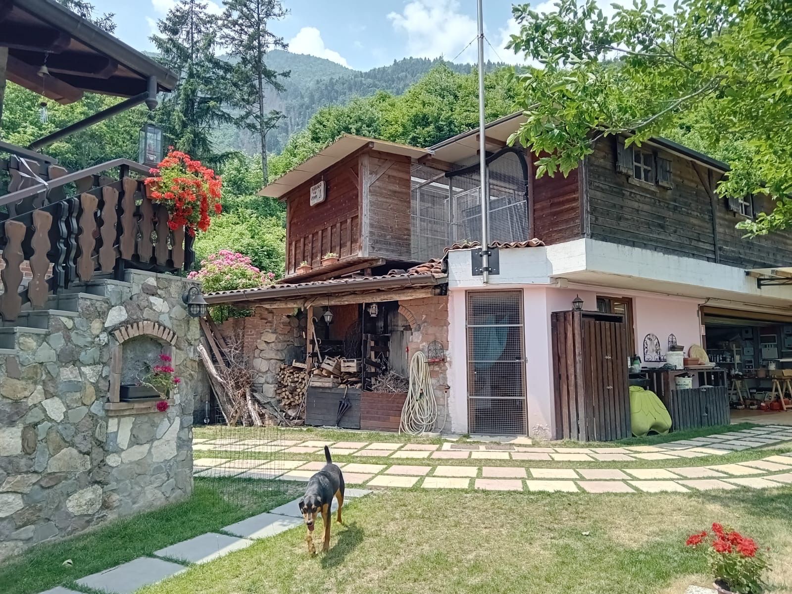 image-15