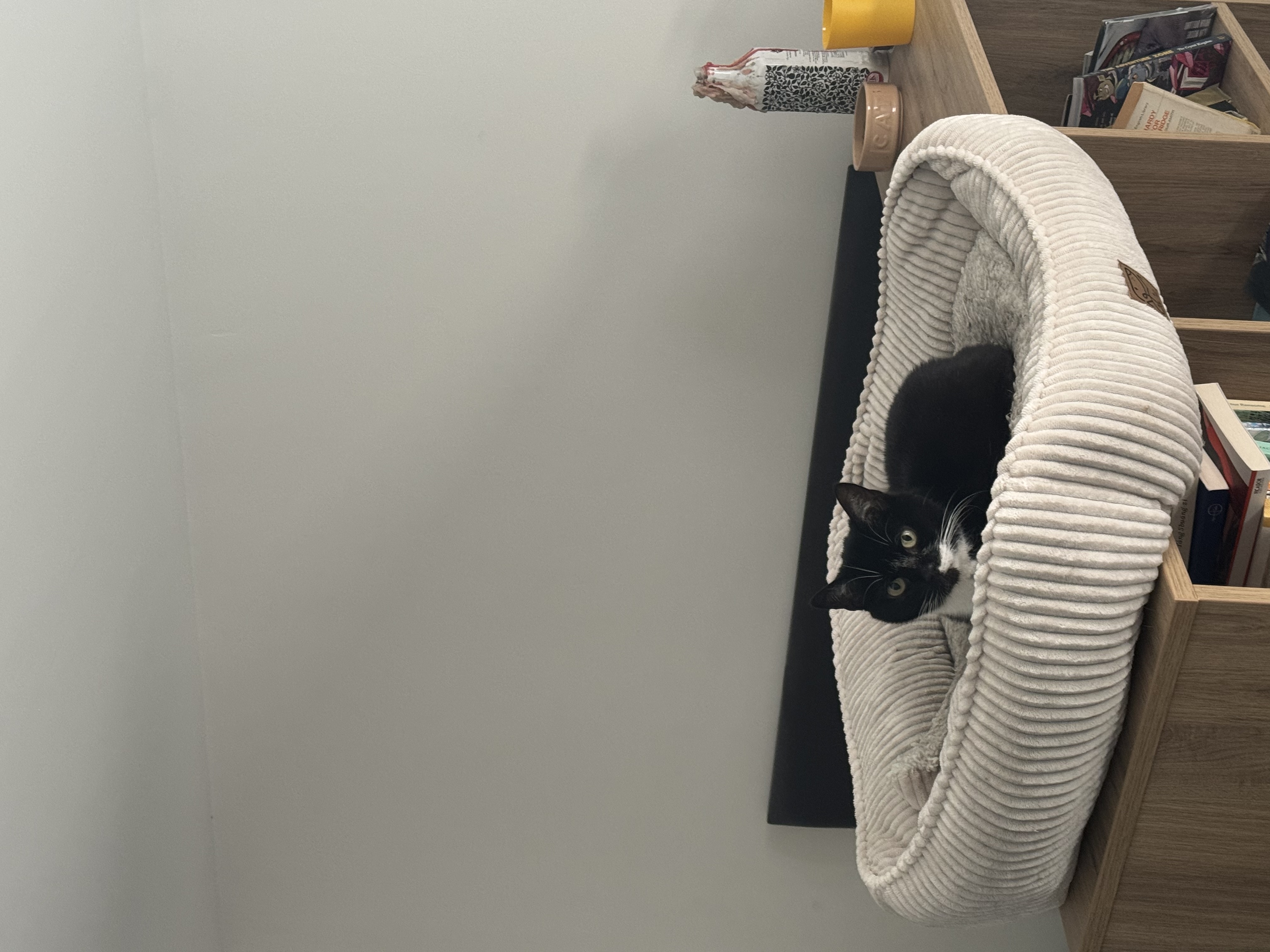 image-14
