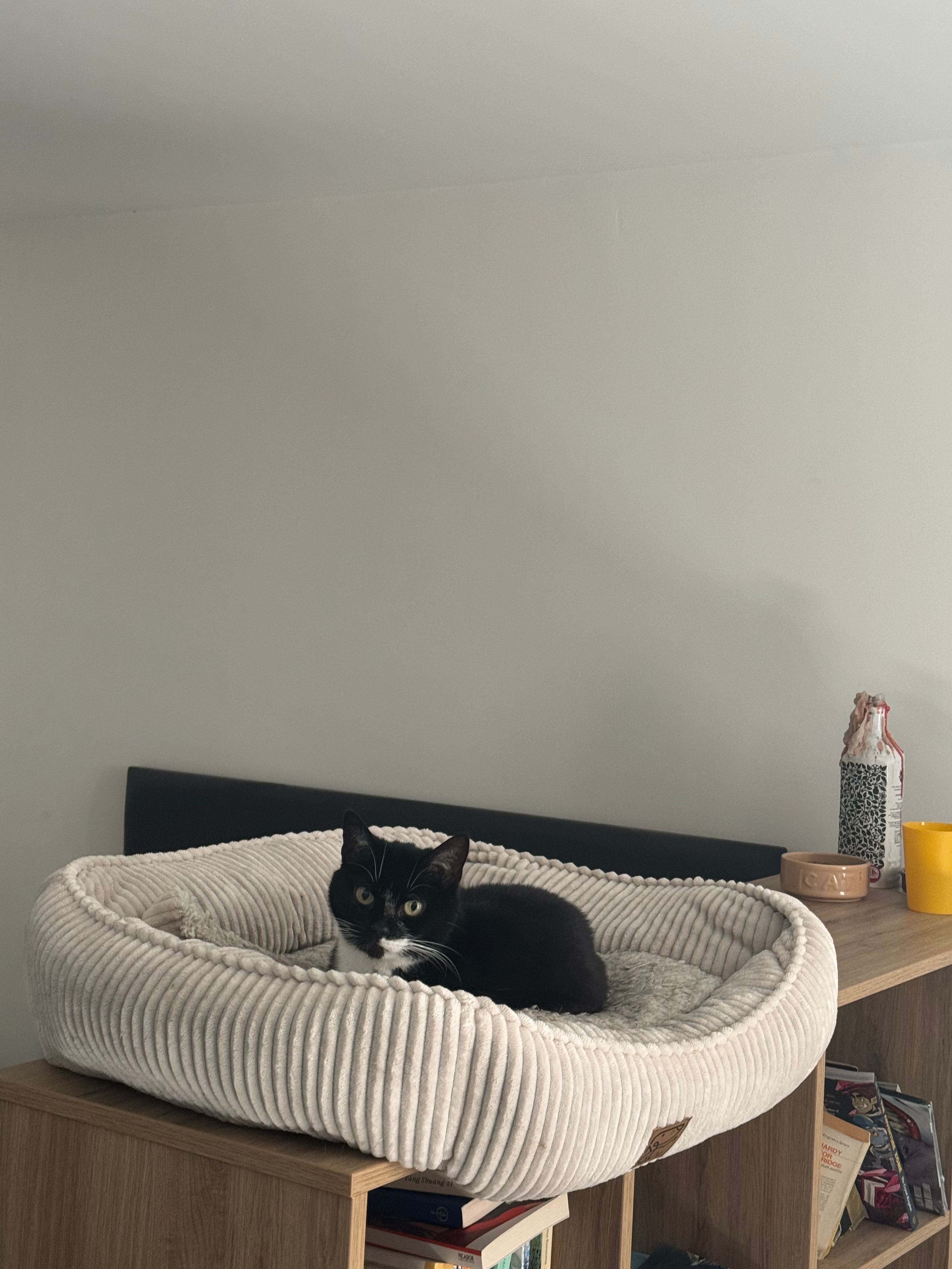 image-14