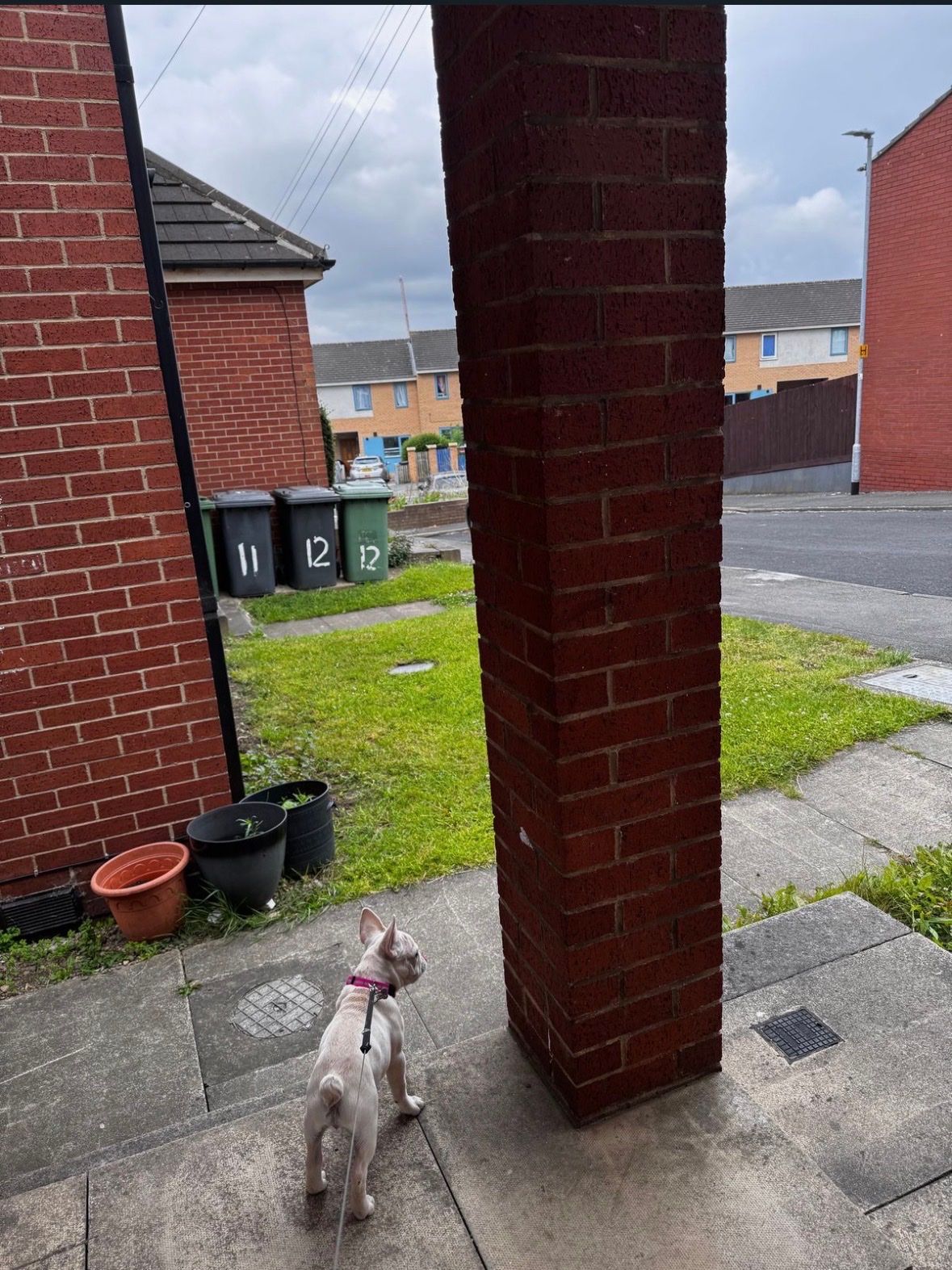 image-19