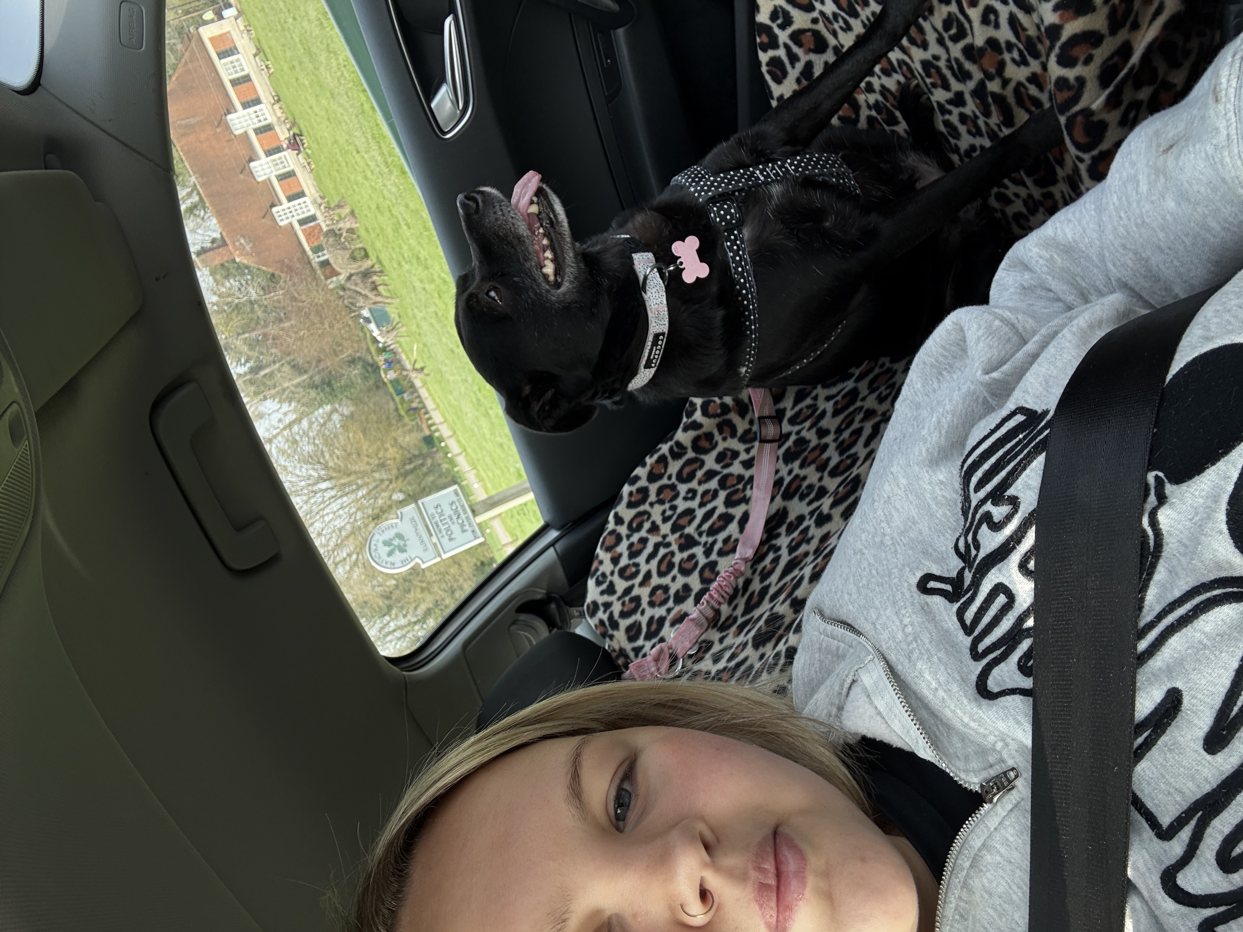image-15