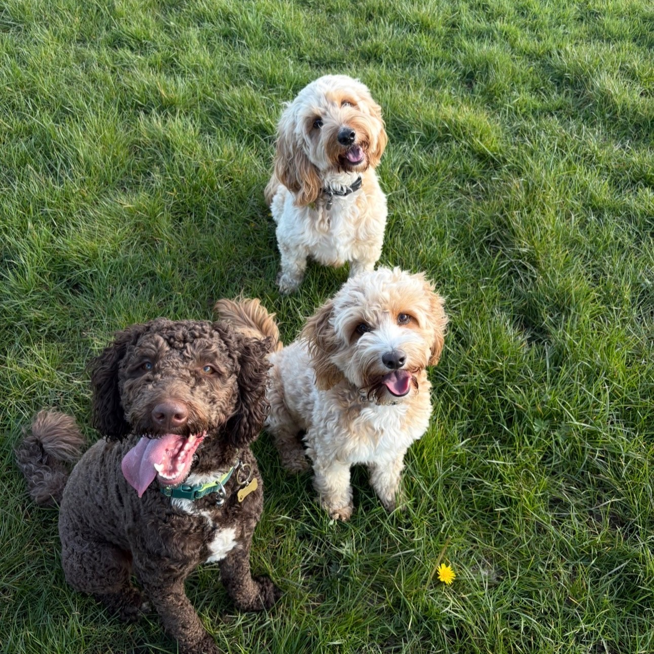 Reg, Ron, Ralph
